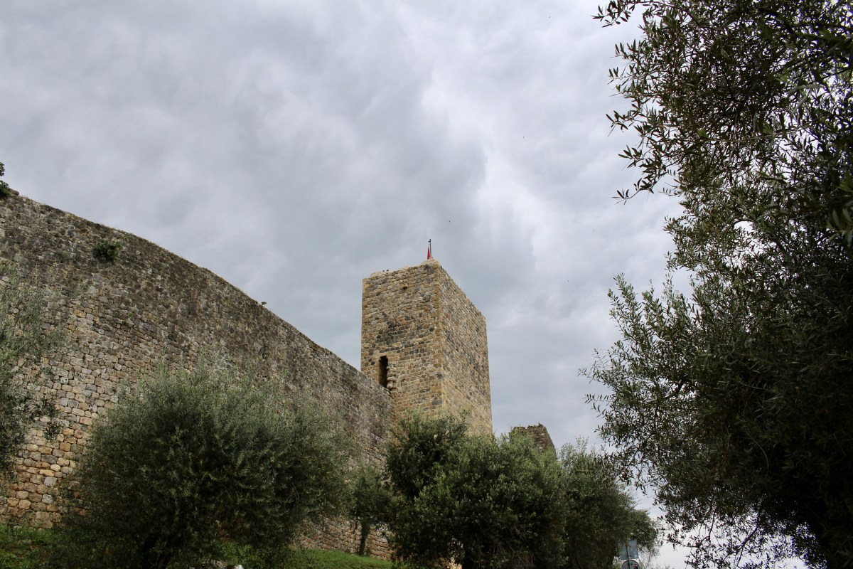 fullsizeoutput_1ddfd