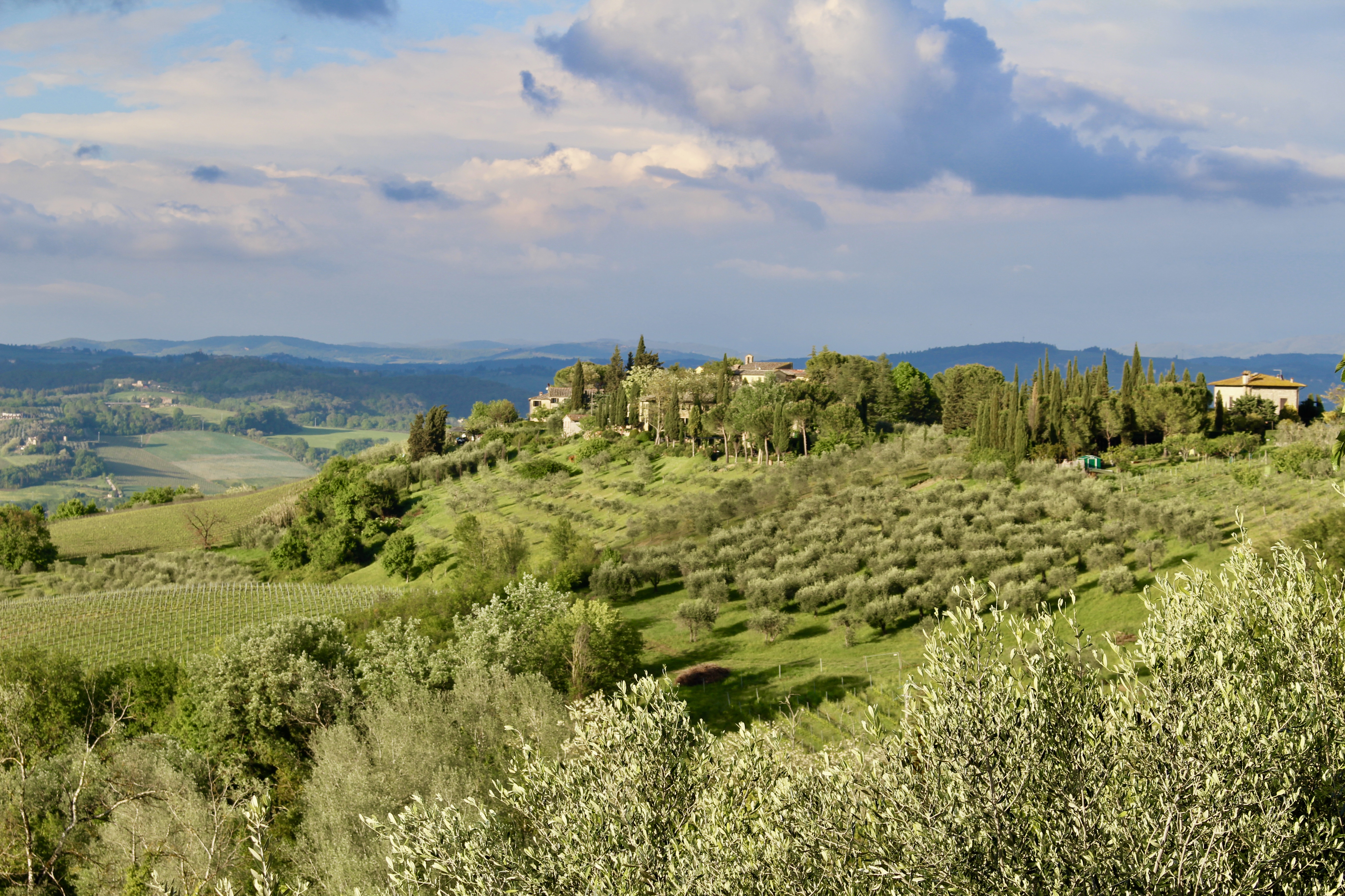 fullsizeoutput_1de05