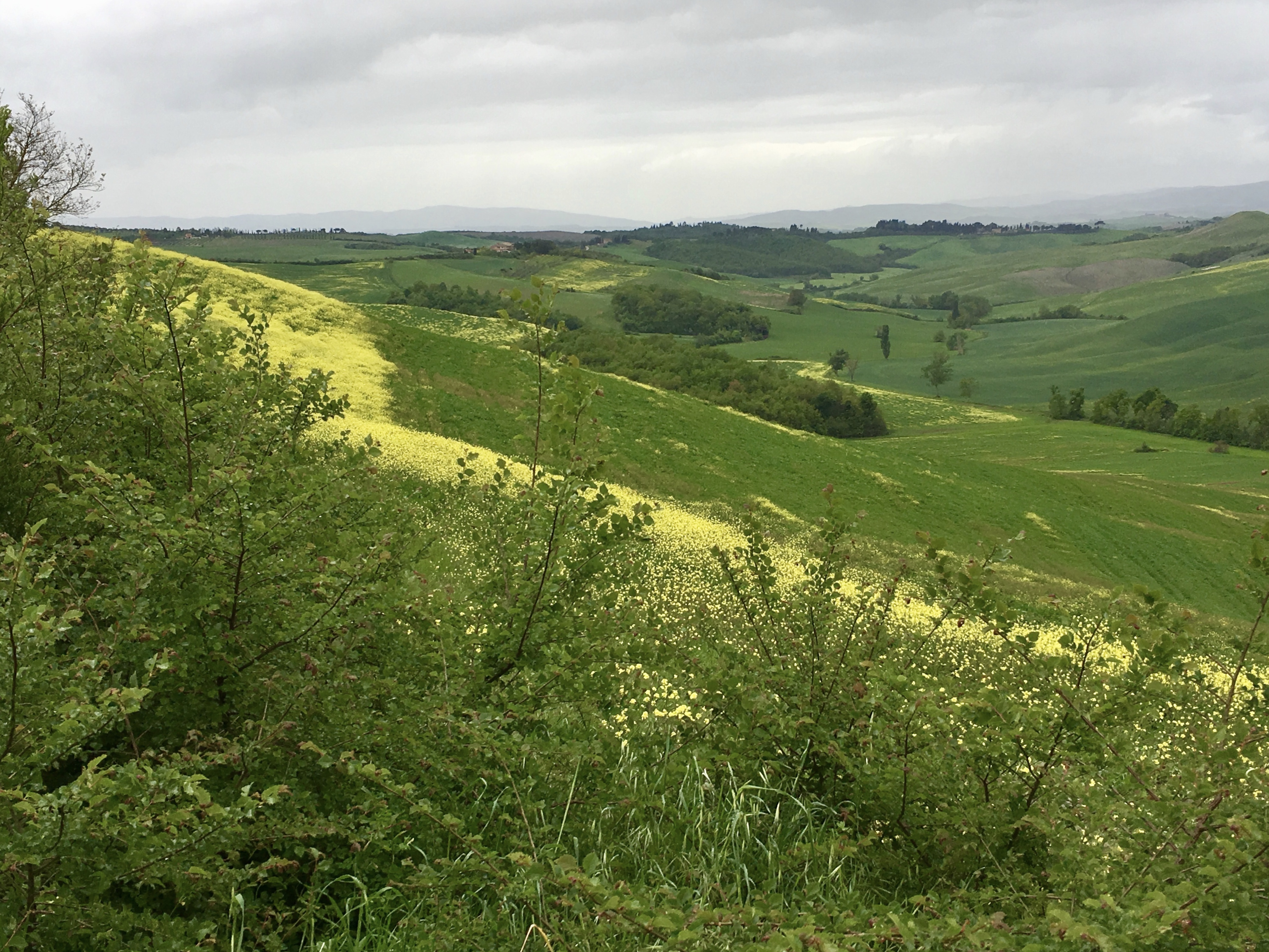 fullsizeoutput_1e2a2