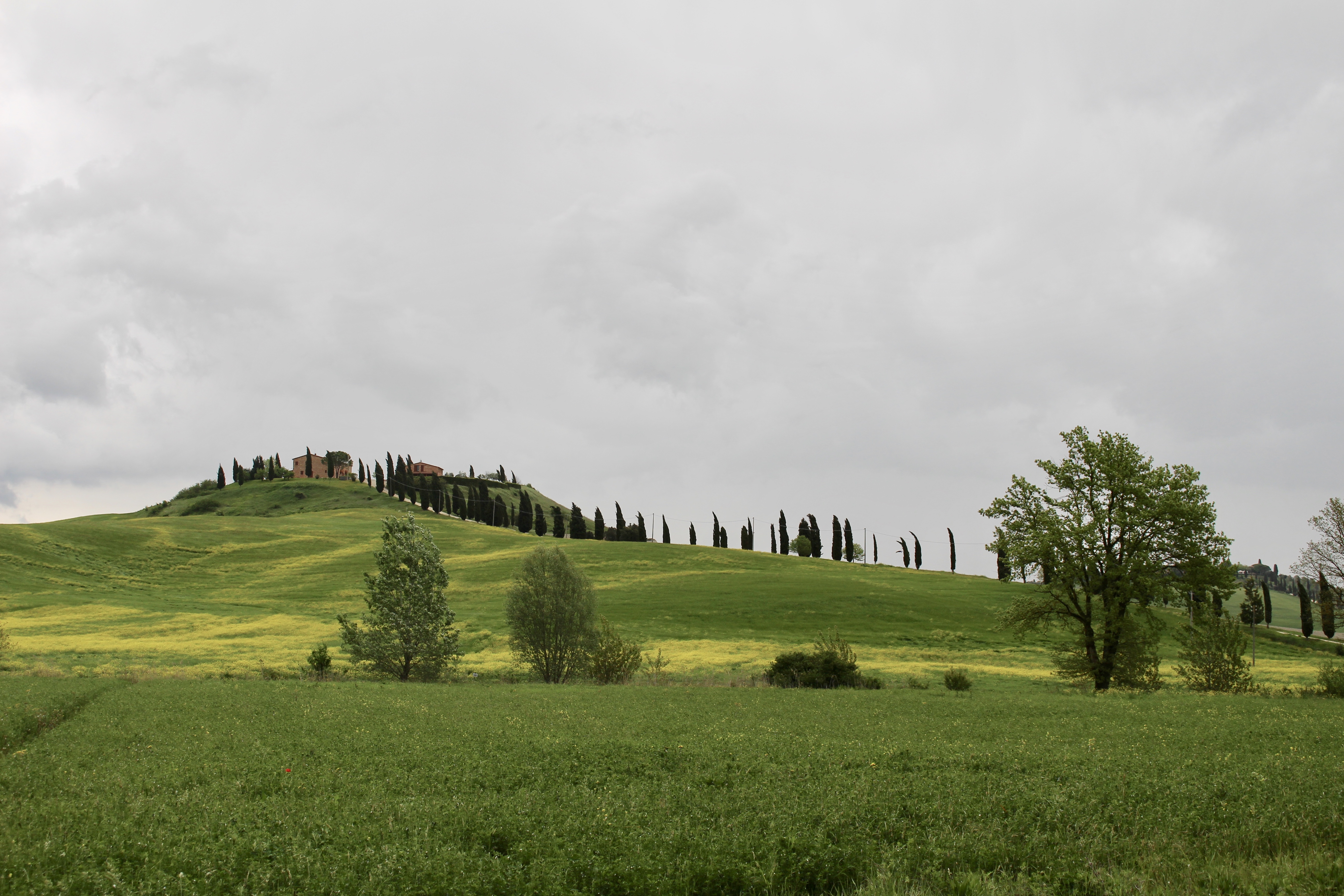 fullsizeoutput_1e2dc