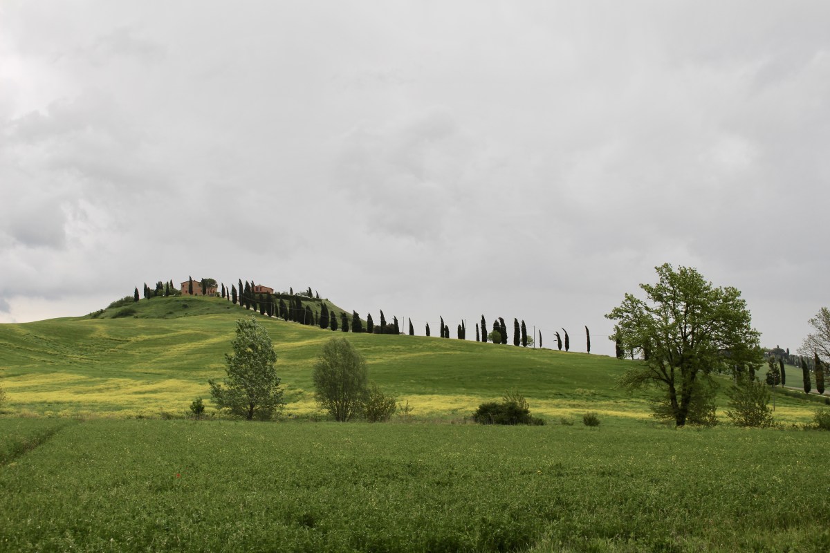 fullsizeoutput_1e2dc