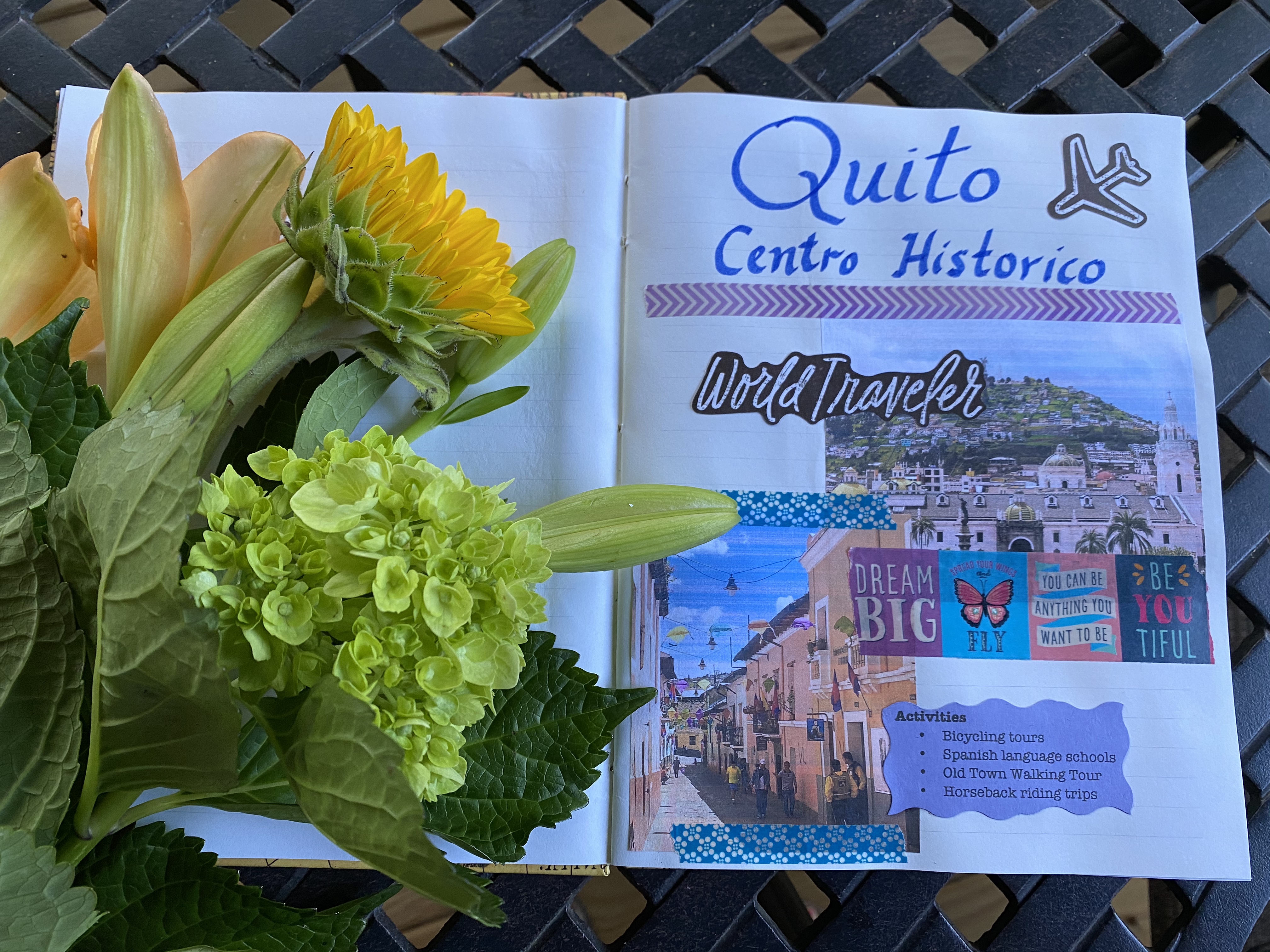 fullsizeoutput_1e2f6