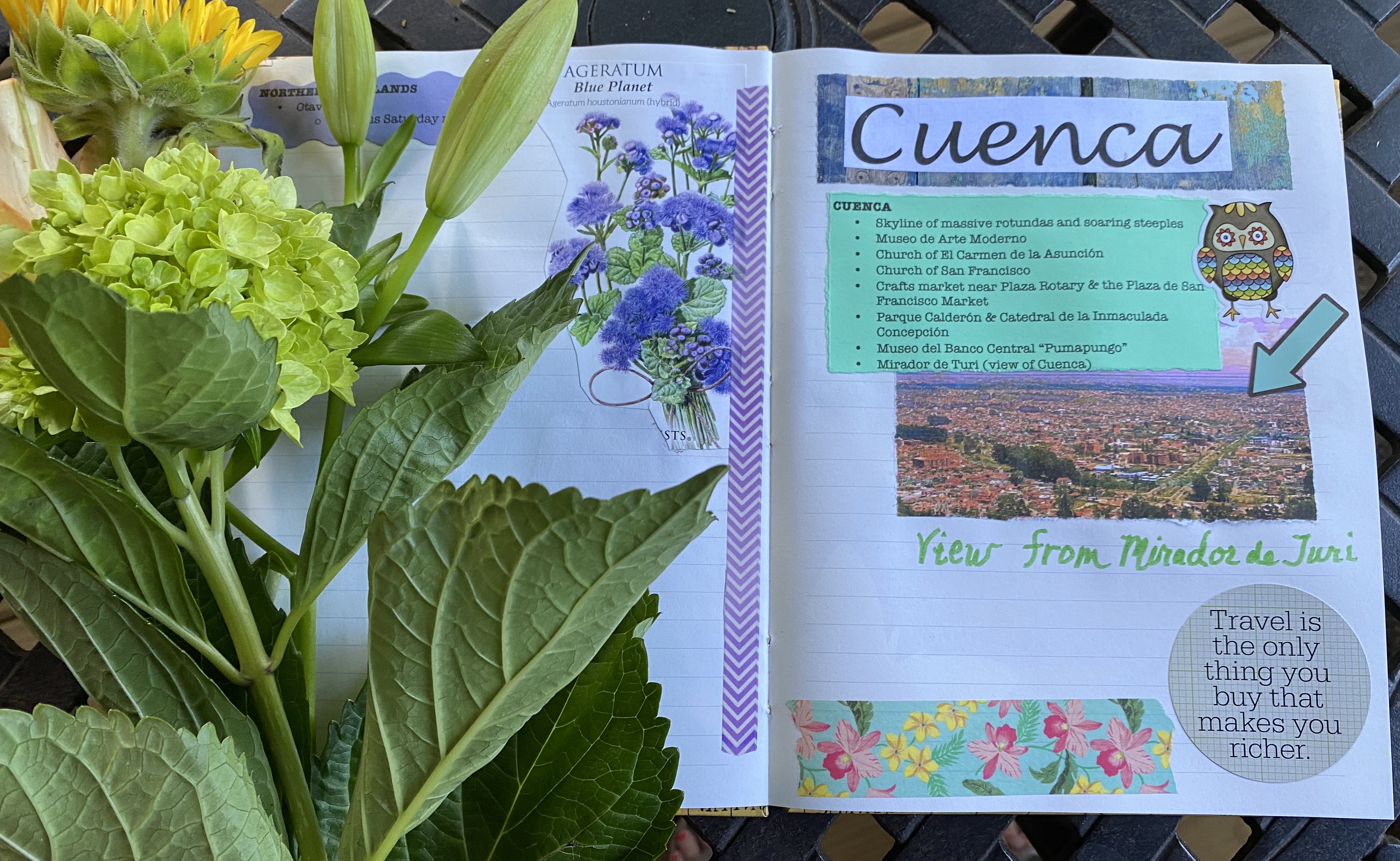 fullsizeoutput_1e2fb