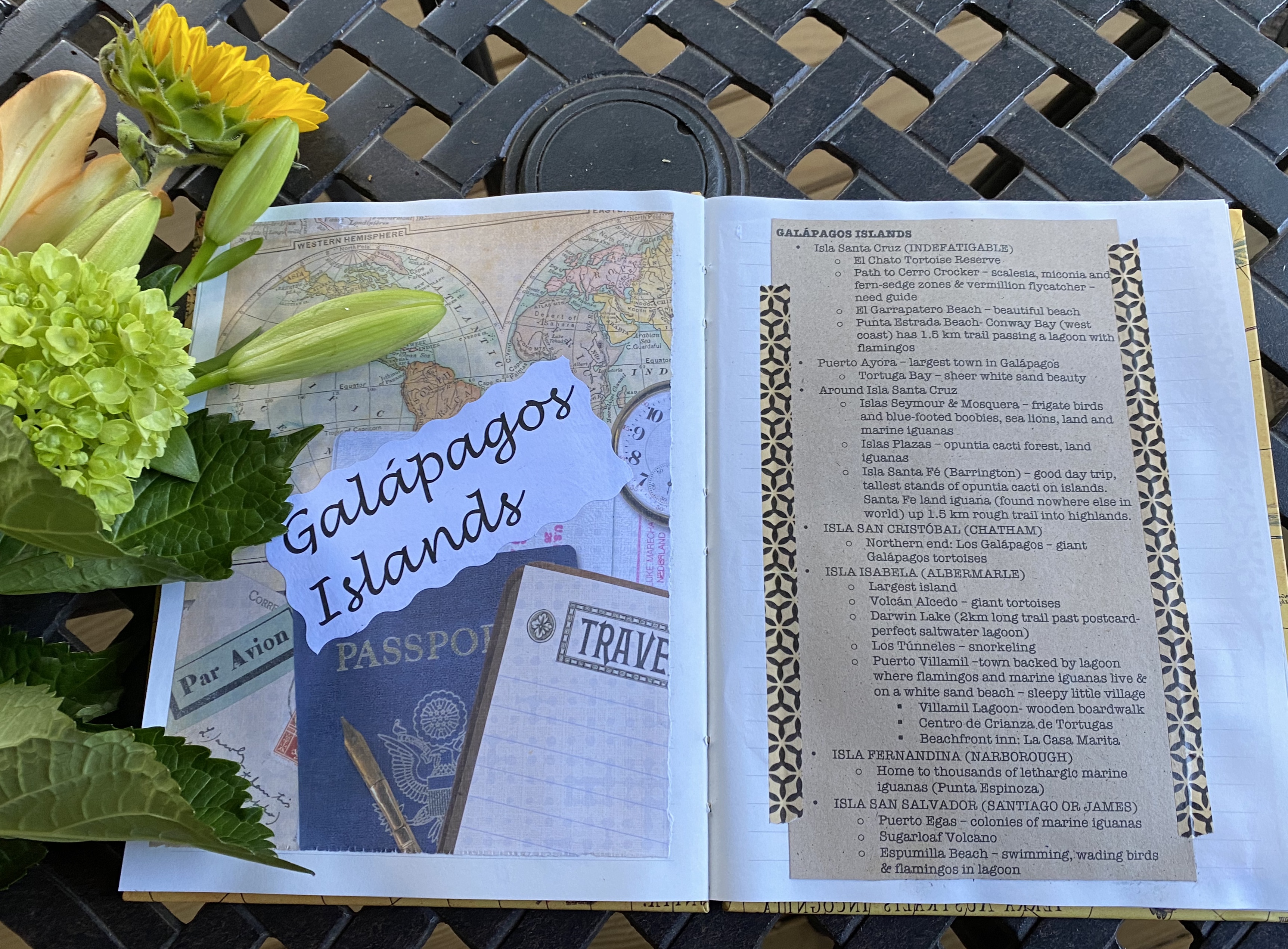 fullsizeoutput_1e2ff