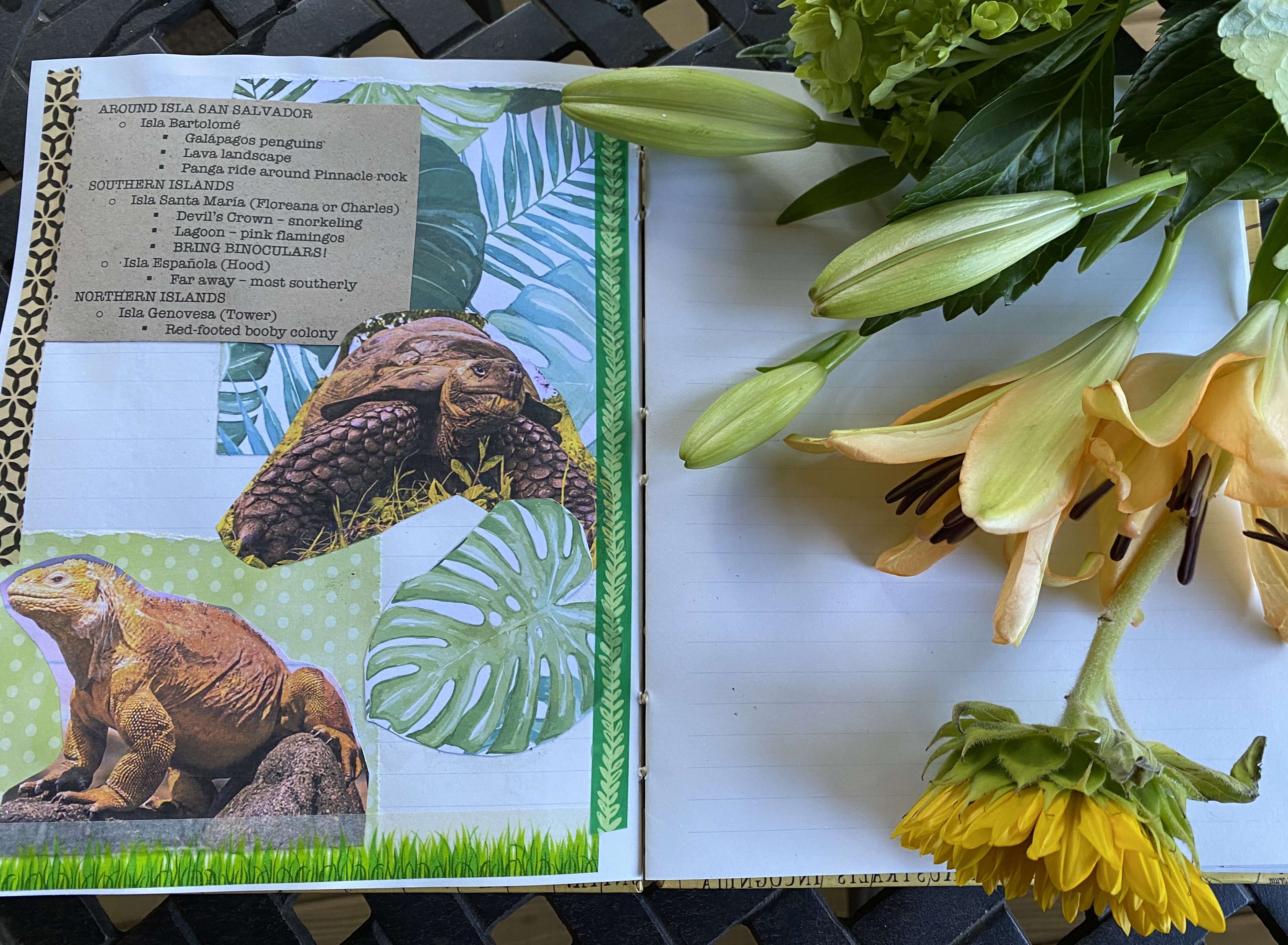 fullsizeoutput_1e302