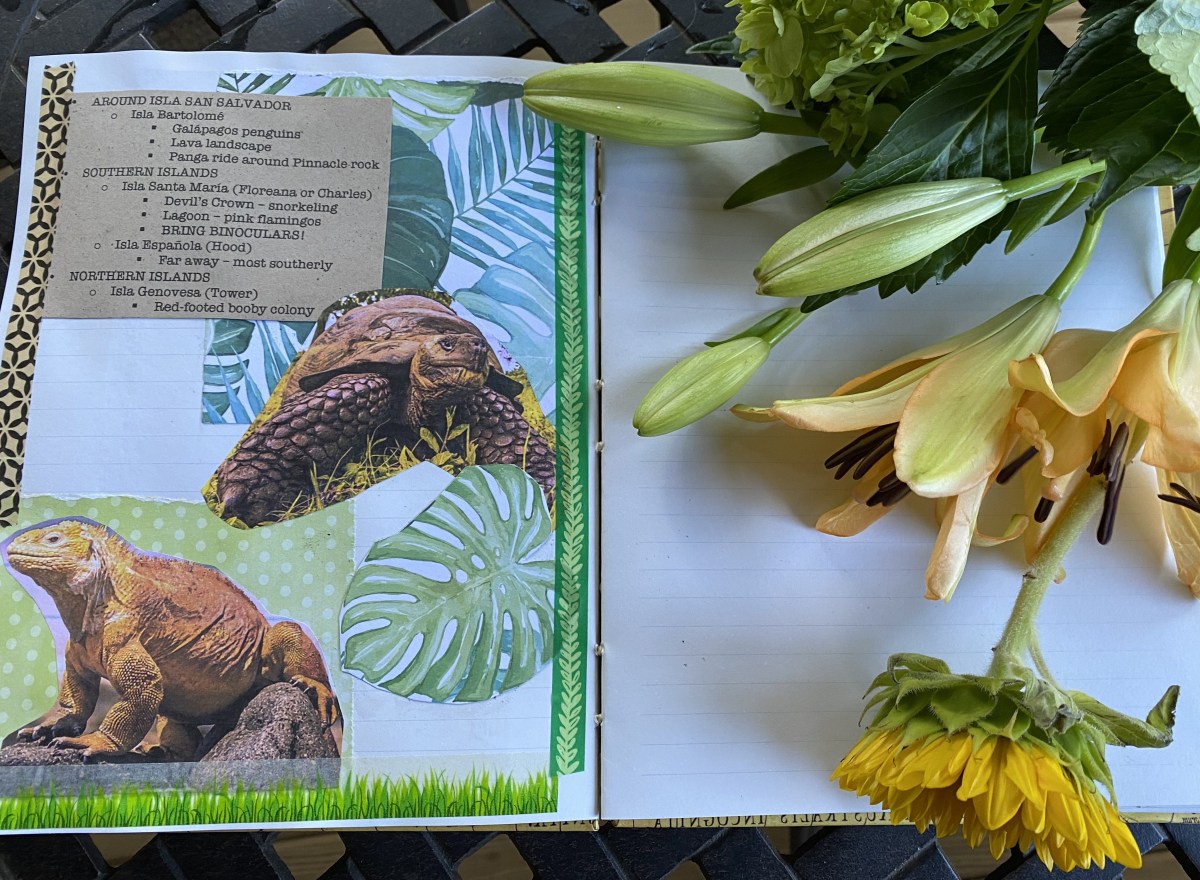 fullsizeoutput_1e302