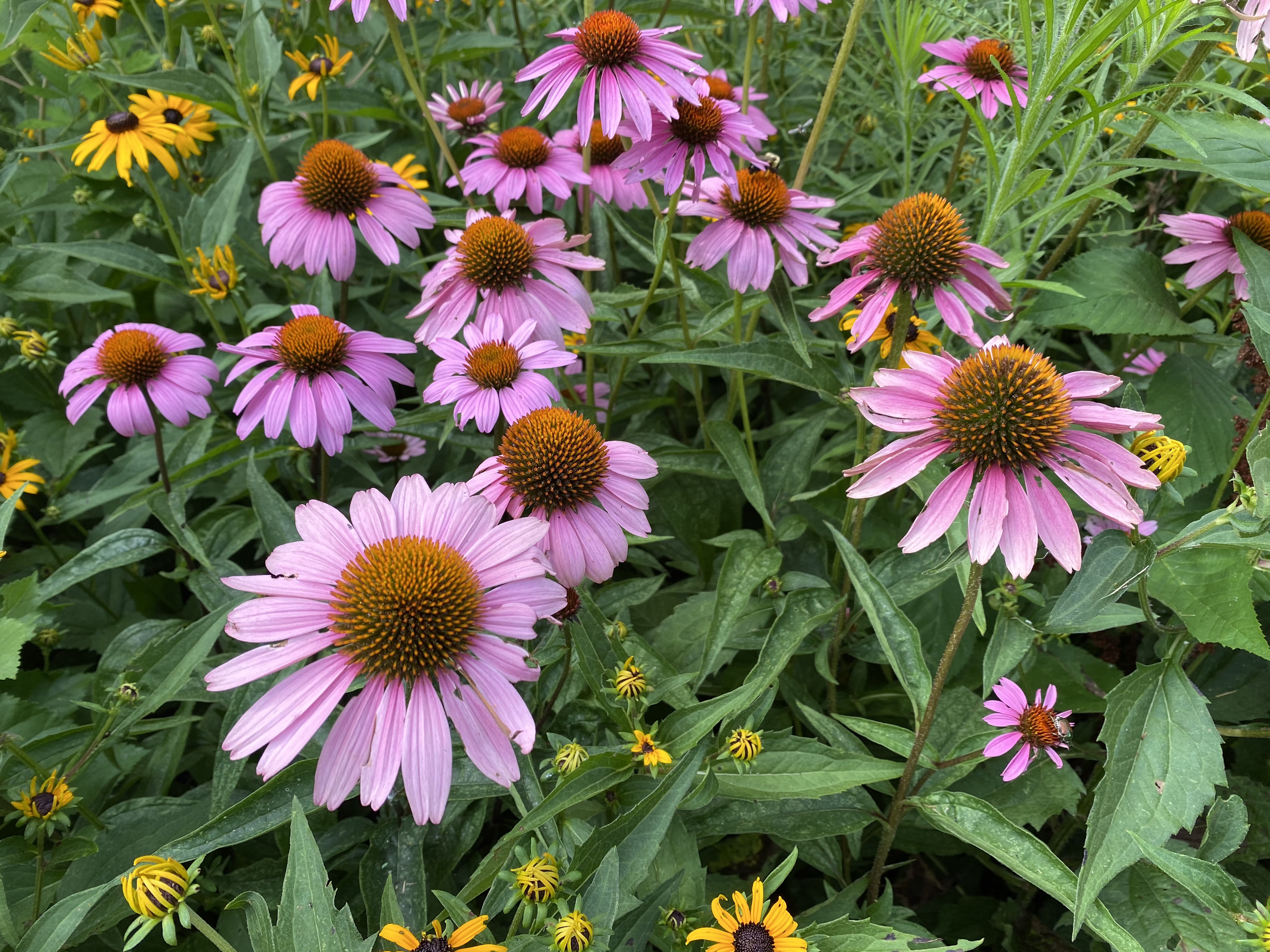 PO6tW04dQKakWo1B4YEIjw