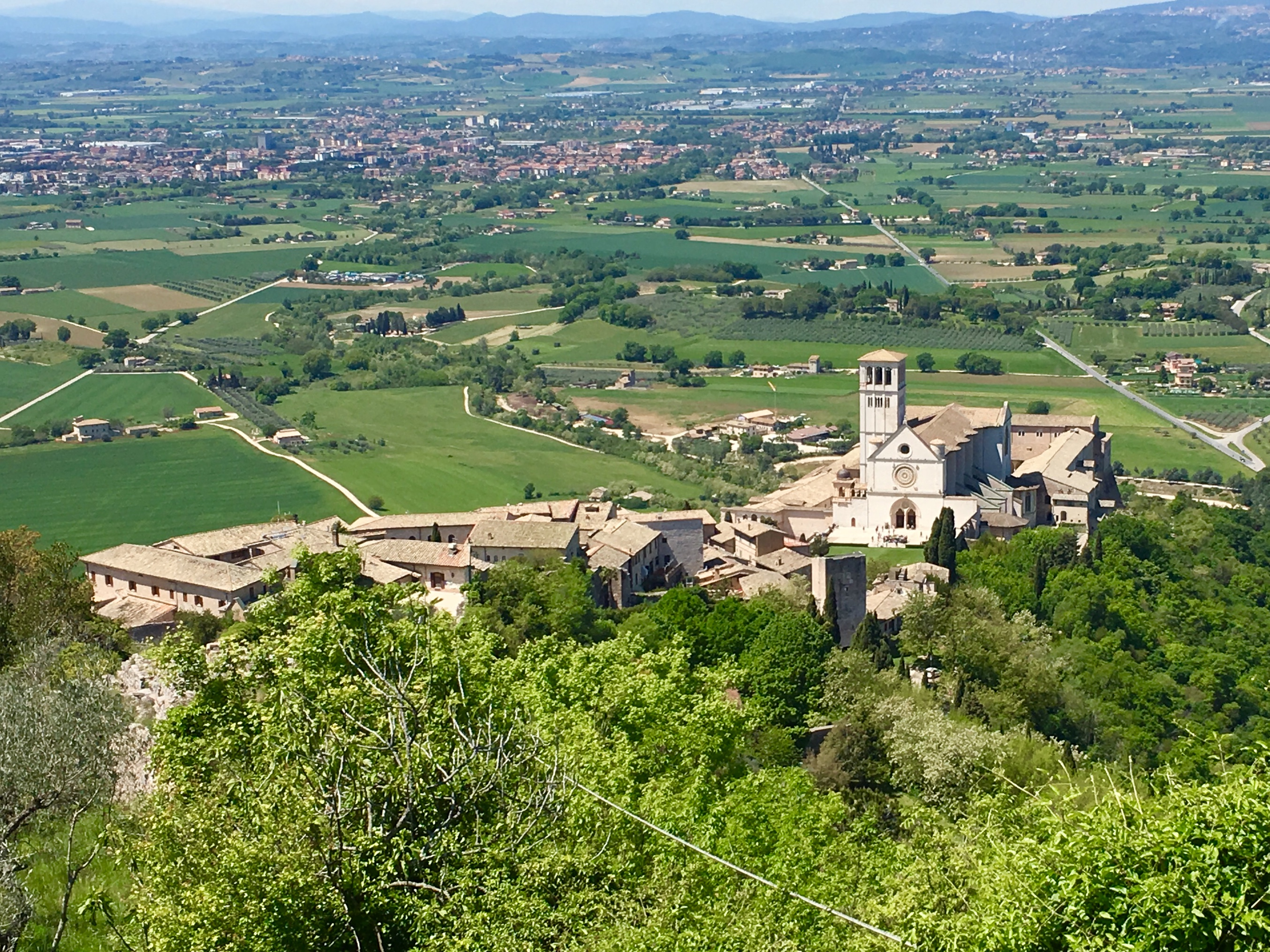 fullsizeoutput_18636