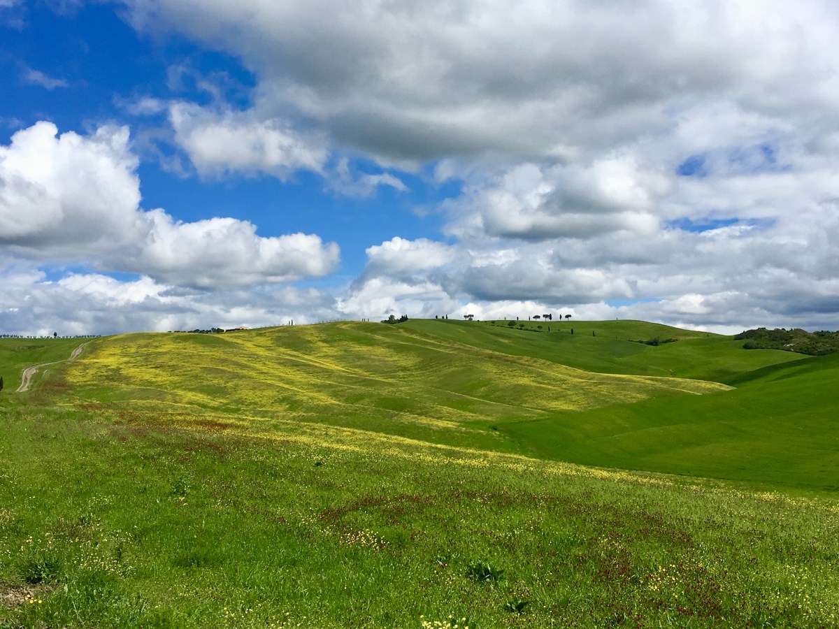 fullsizeoutput_18678