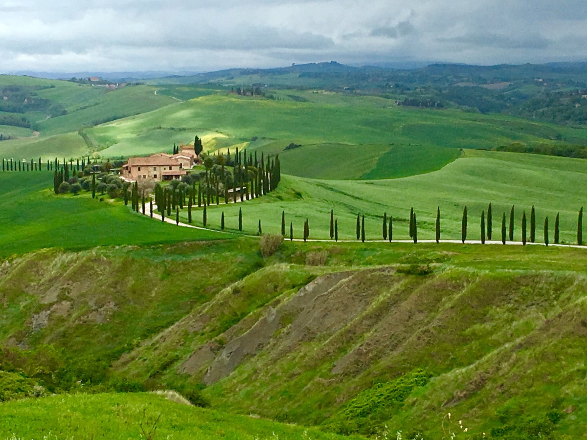 fullsizeoutput_1893d