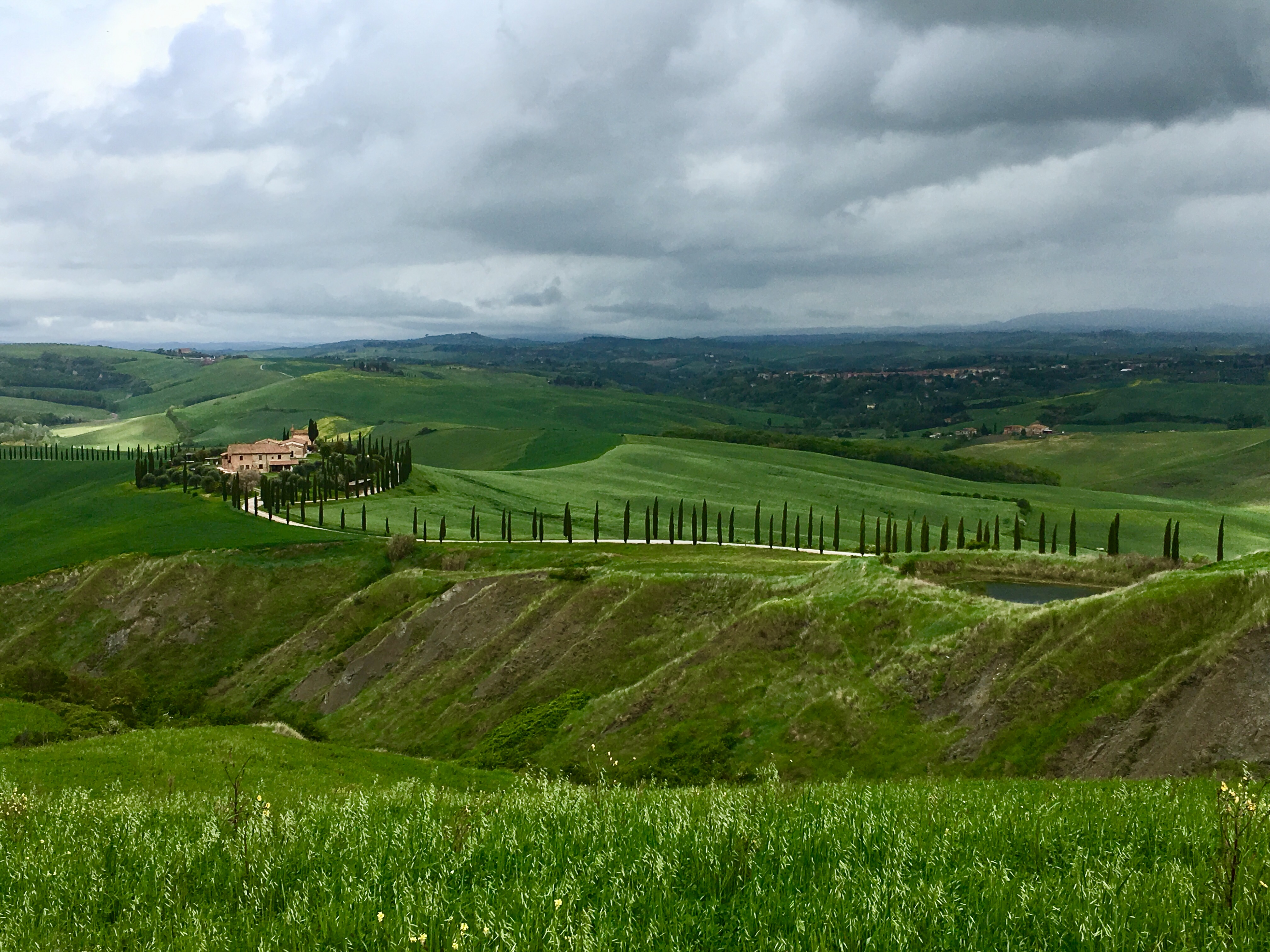 fullsizeoutput_18942