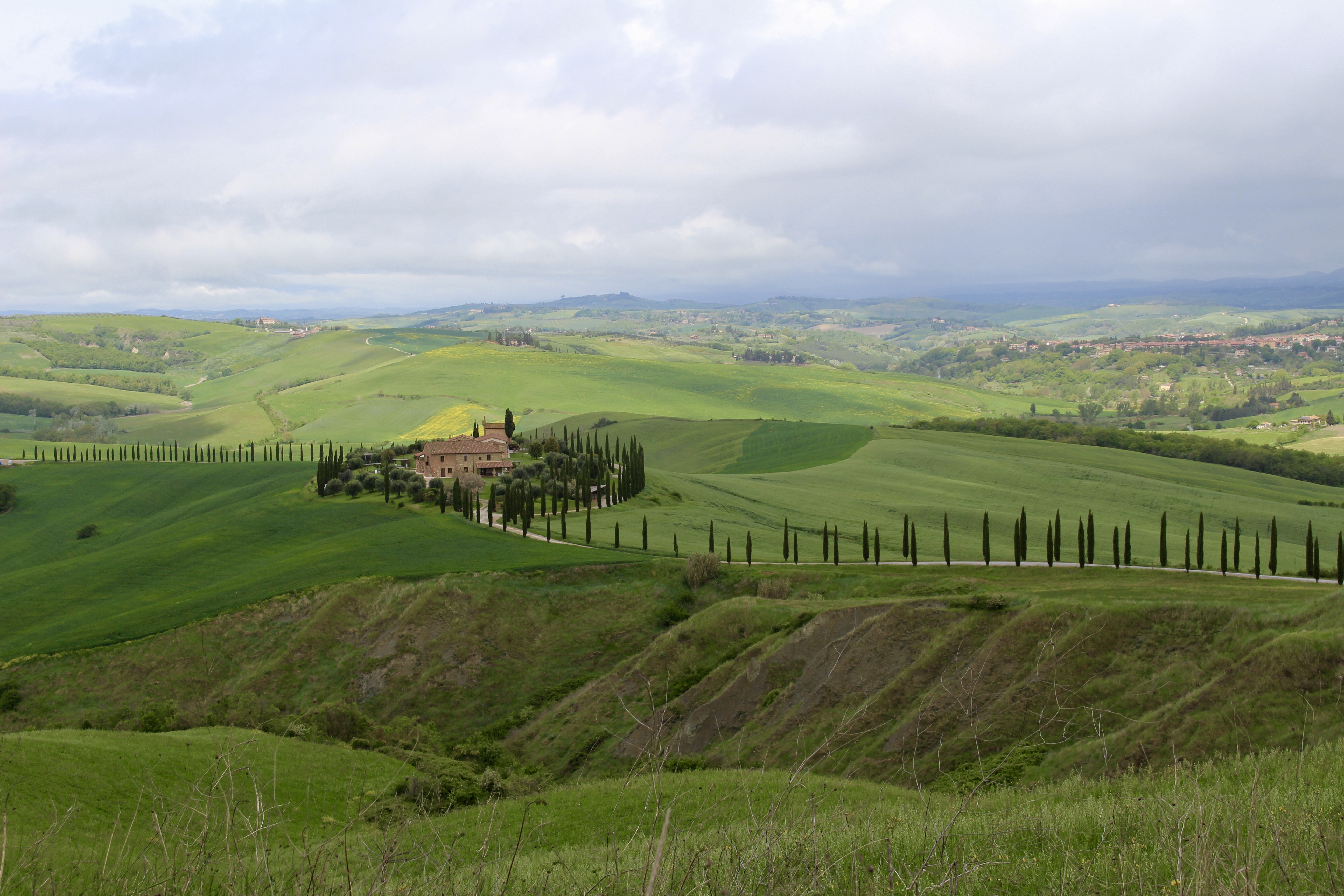 fullsizeoutput_19253