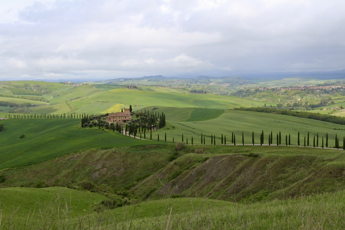 fullsizeoutput_19253