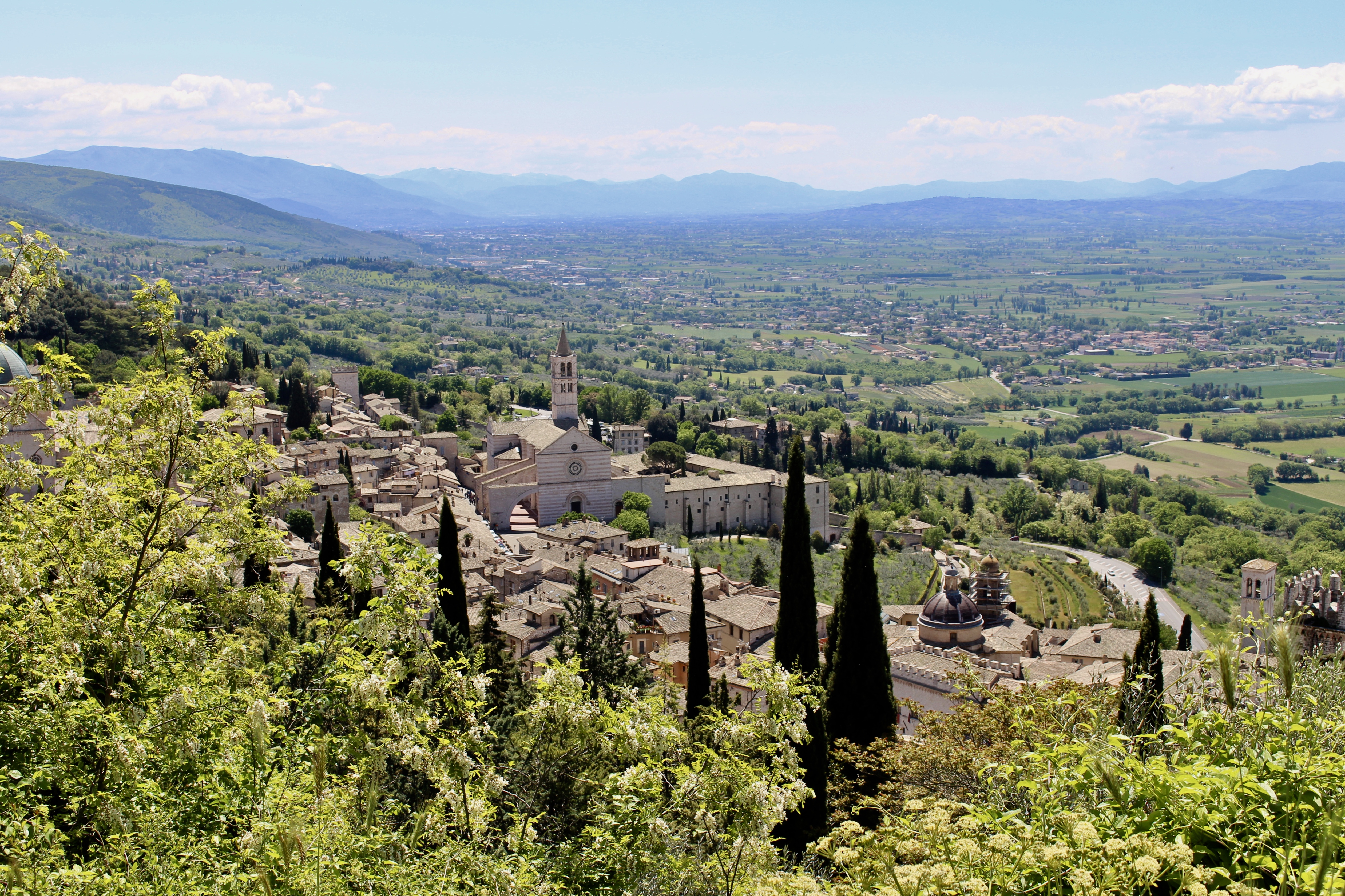 fullsizeoutput_1925d