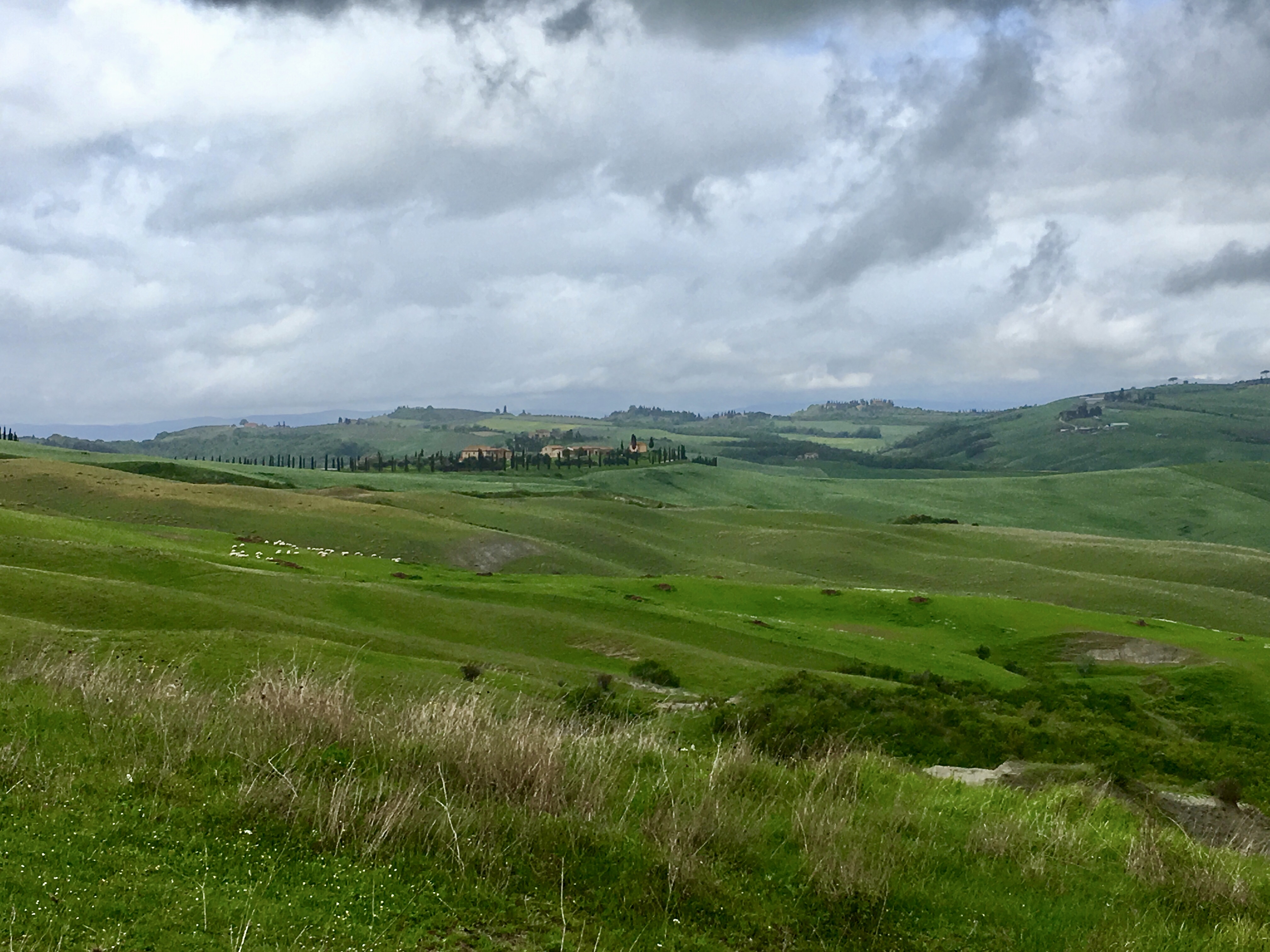 fullsizeoutput_1e2c6