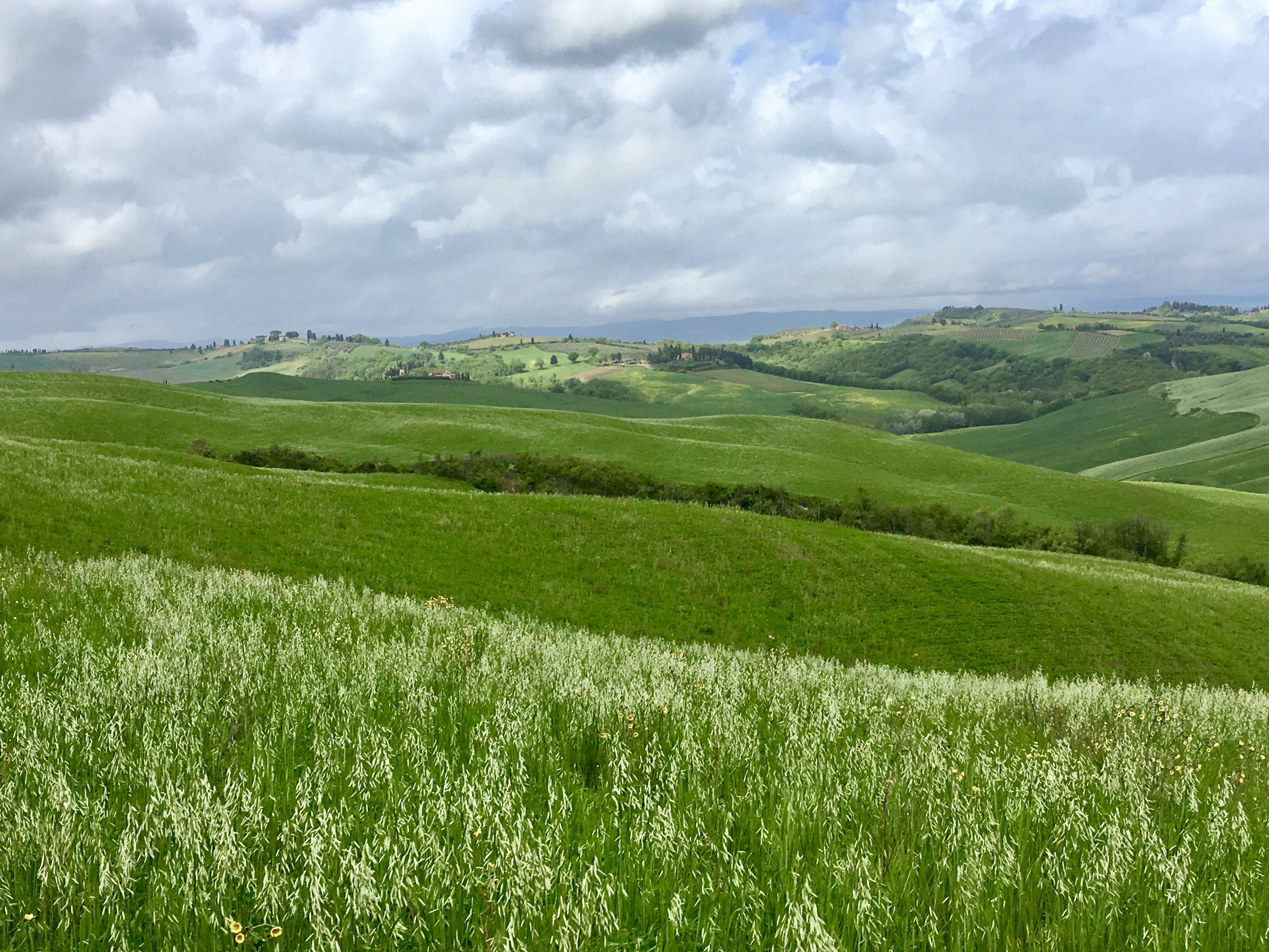 fullsizeoutput_1e2cc