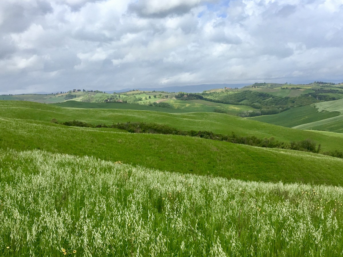 fullsizeoutput_1e2cc