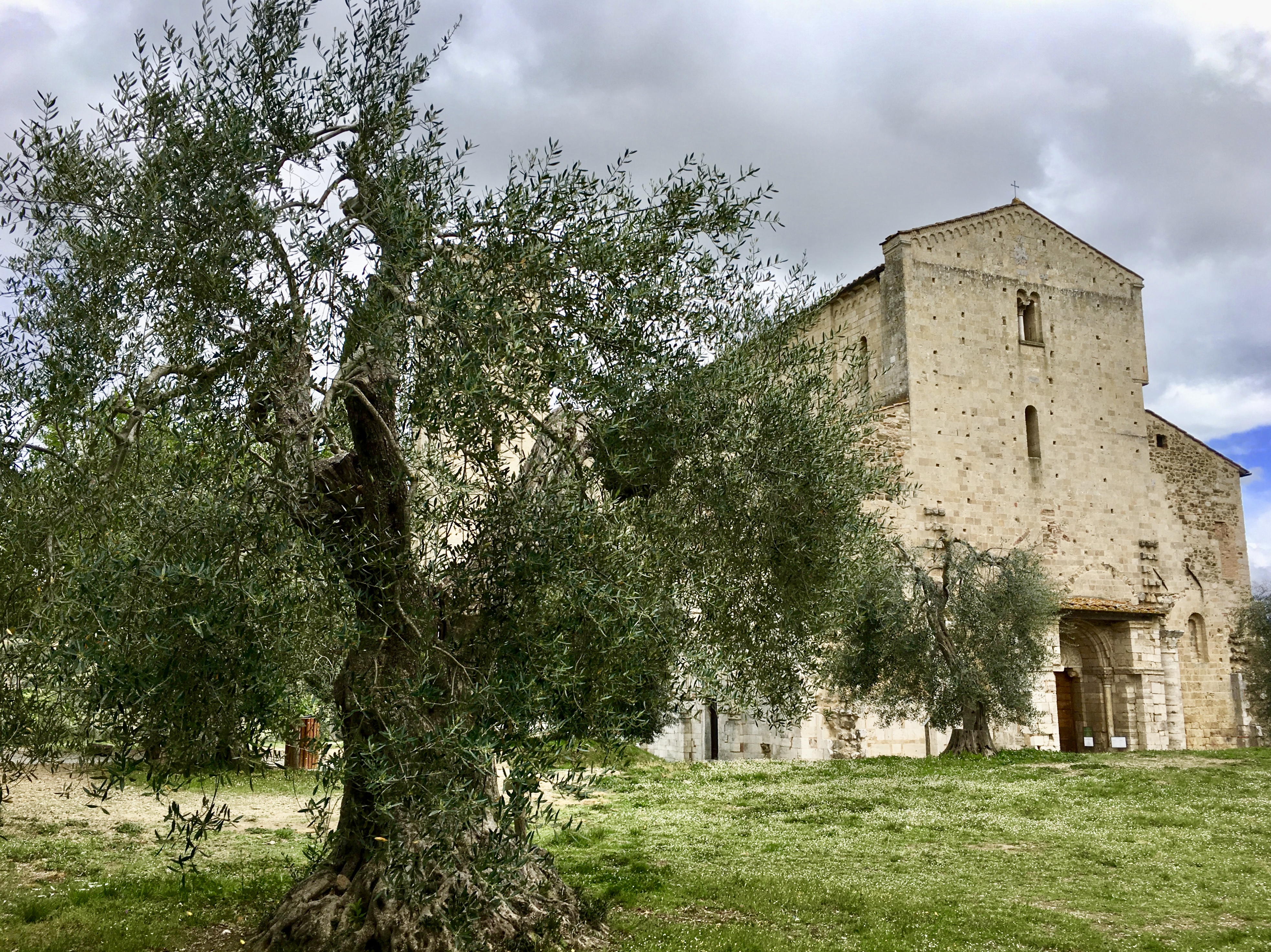 fullsizeoutput_1e2d3