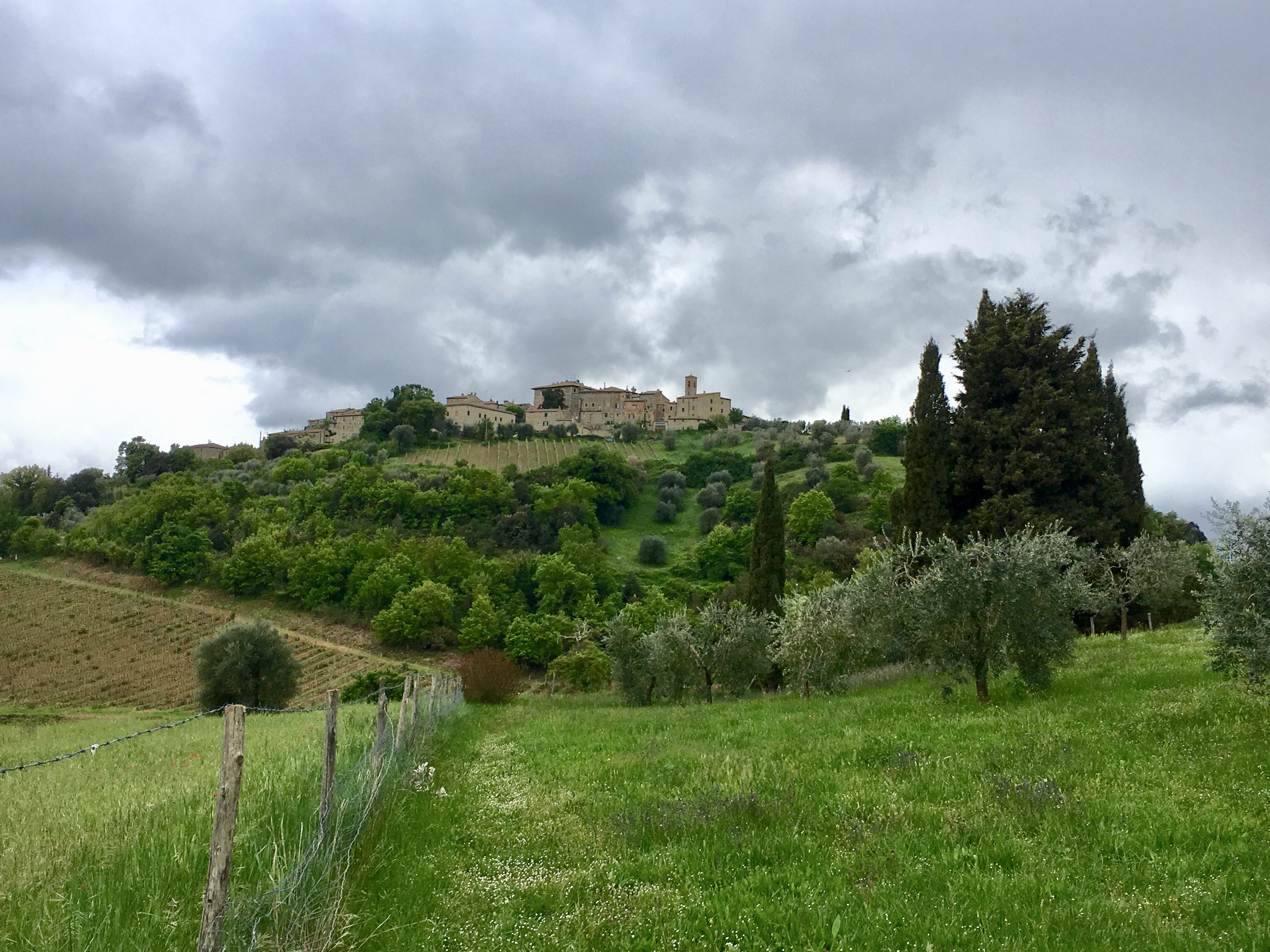 fullsizeoutput_1e2d7