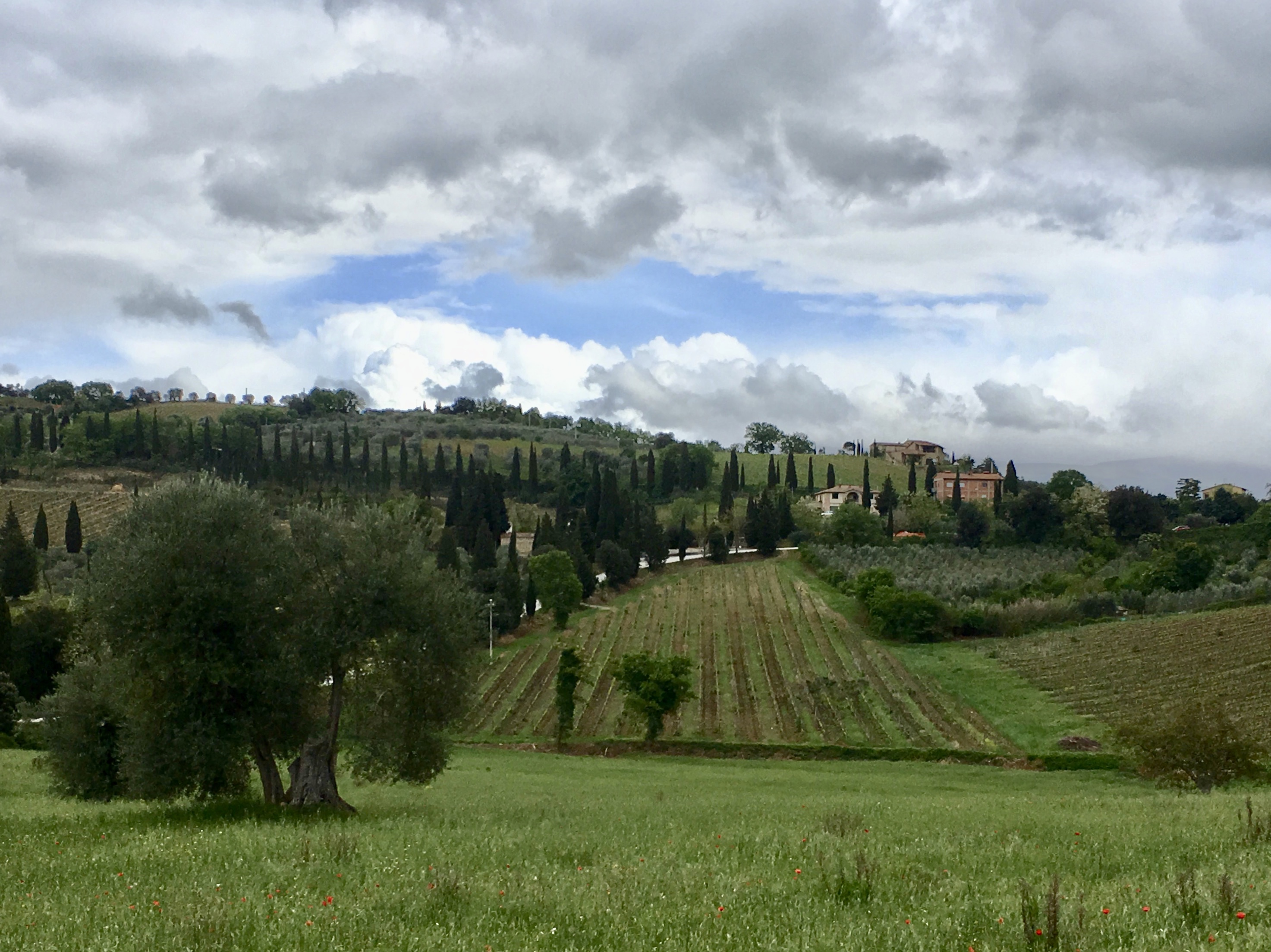 fullsizeoutput_1e2d9