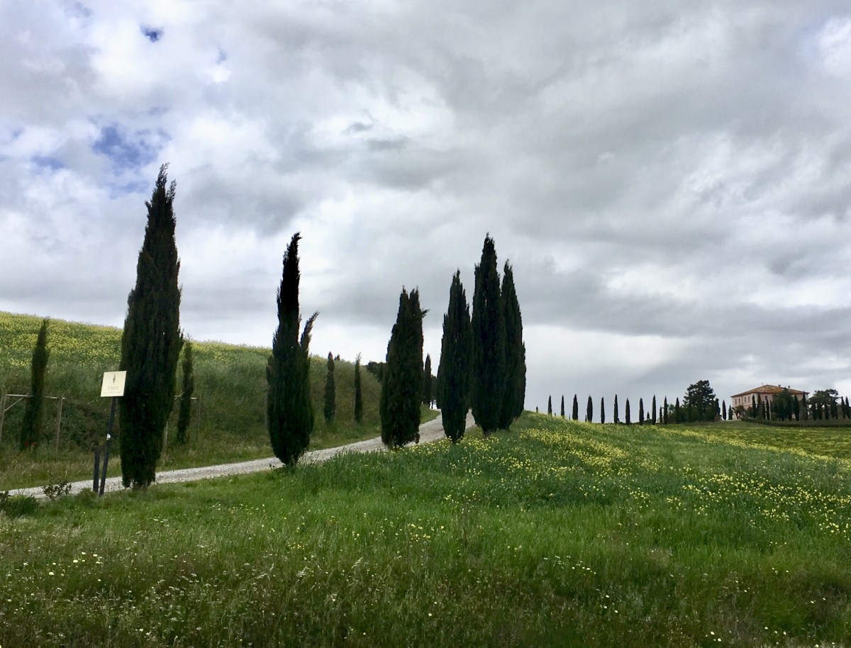 fullsizeoutput_1e2db