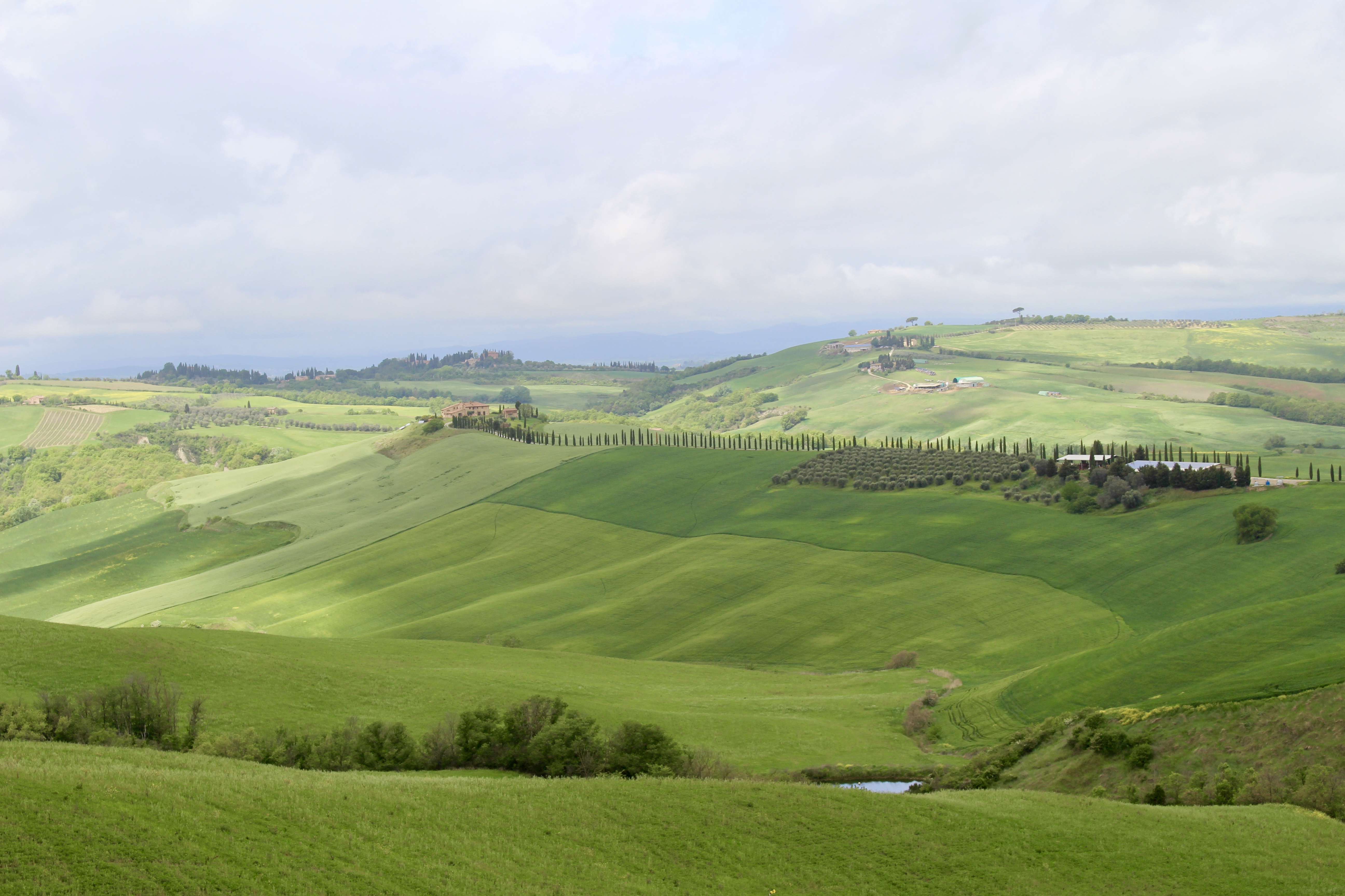 fullsizeoutput_1e2de