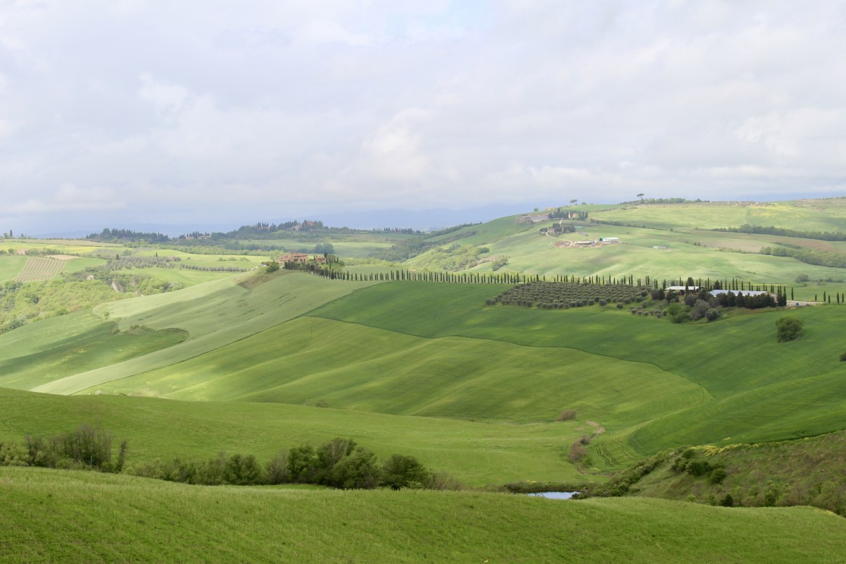 fullsizeoutput_1e2de