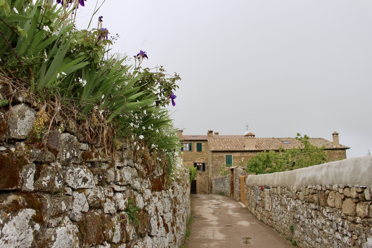 fullsizeoutput_1e311