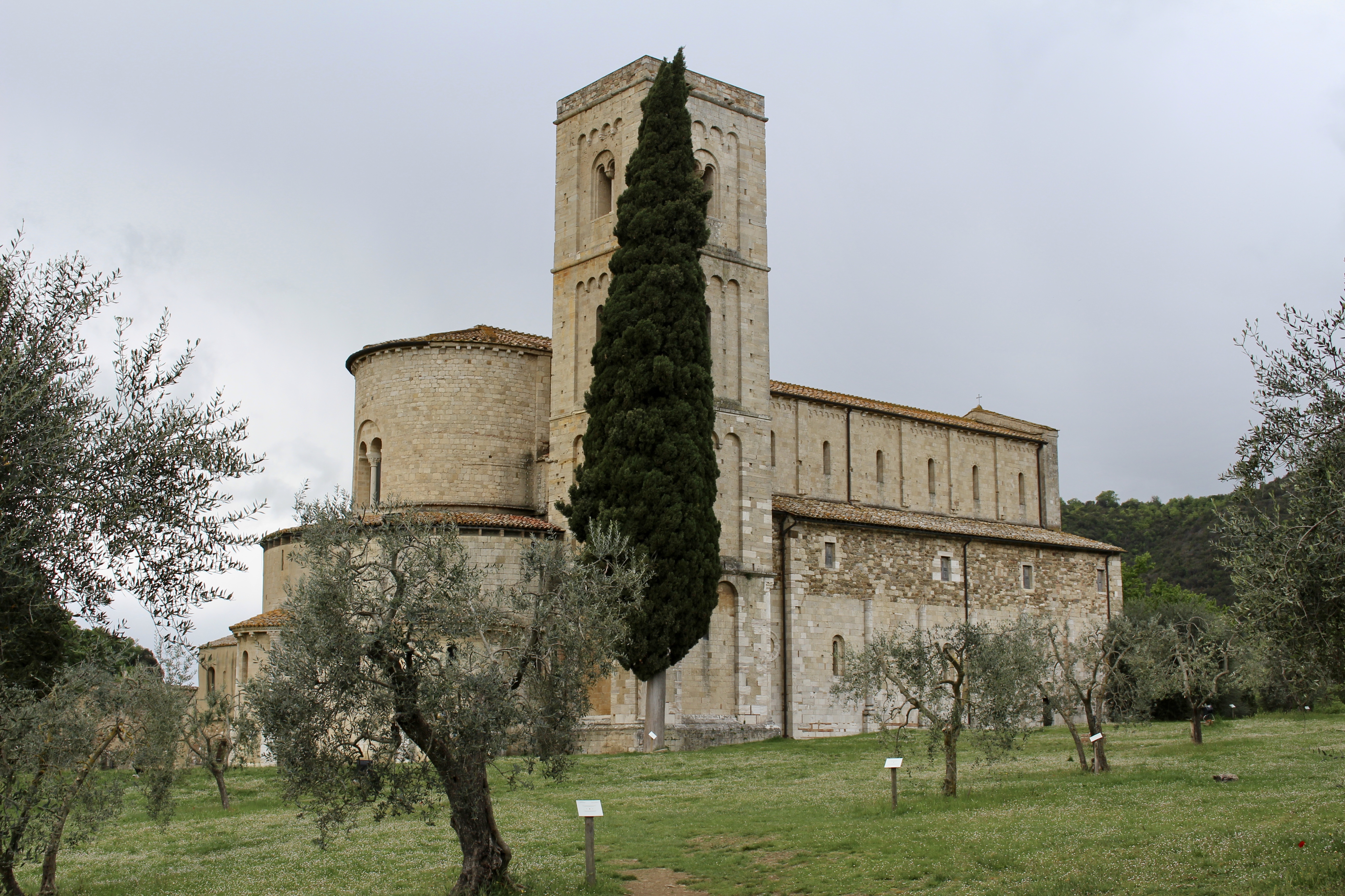 fullsizeoutput_1e31f