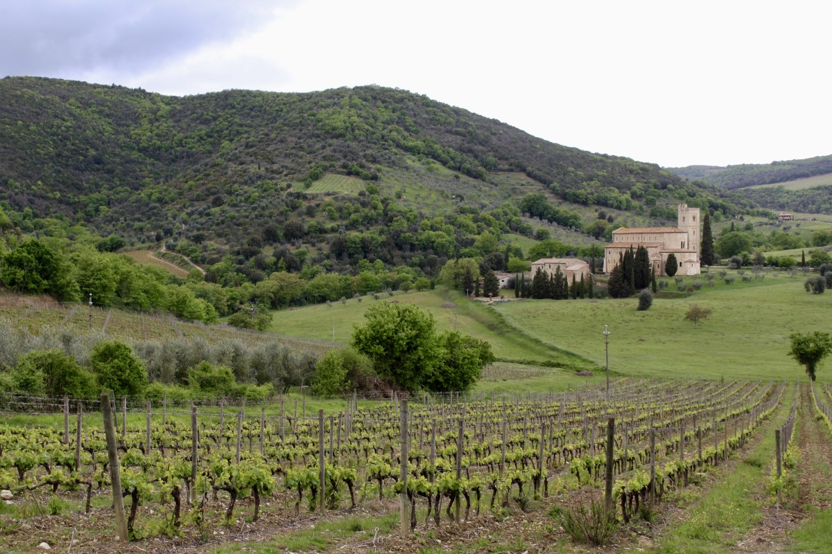 fullsizeoutput_1e323