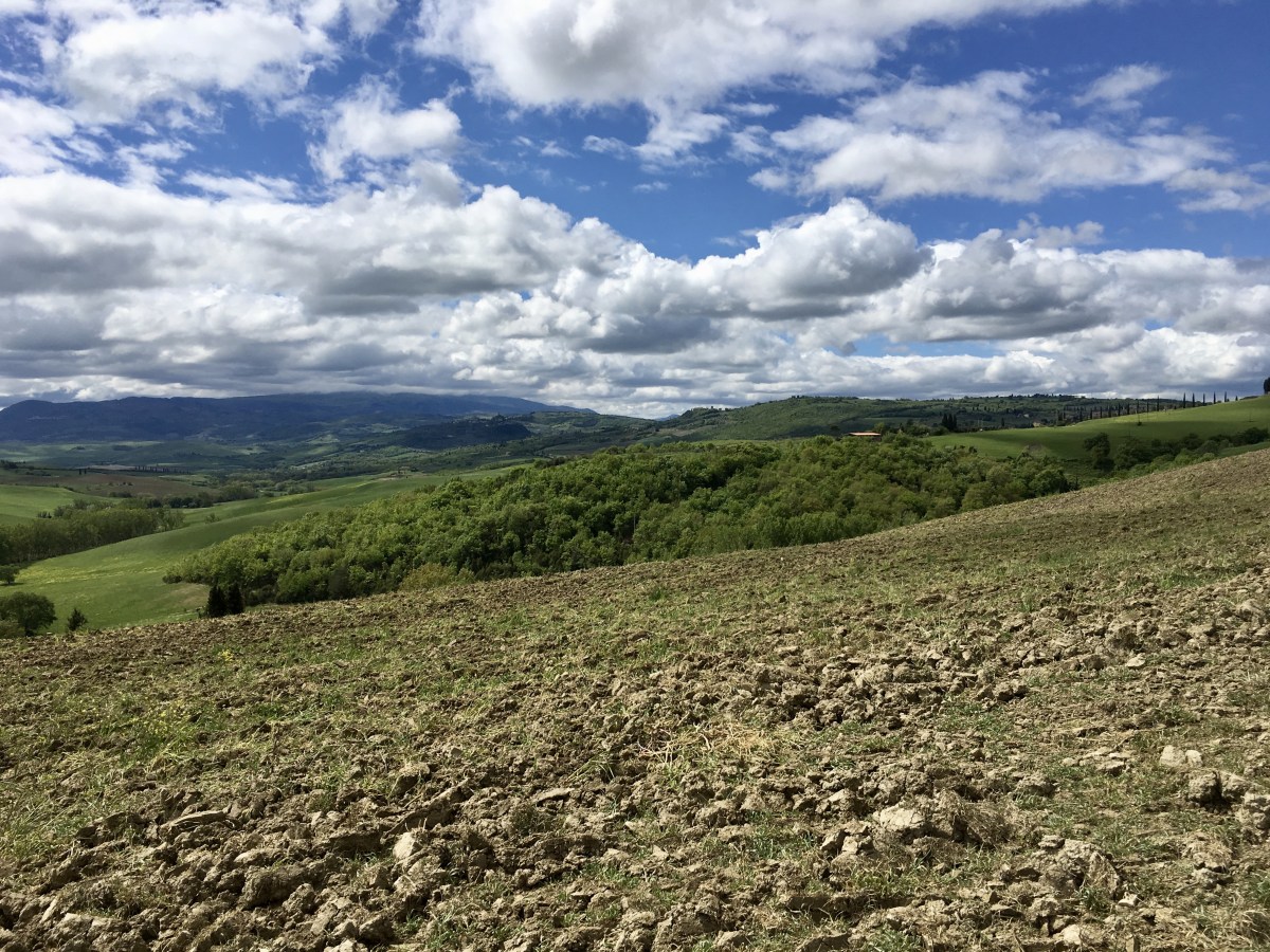 fullsizeoutput_1e4d0