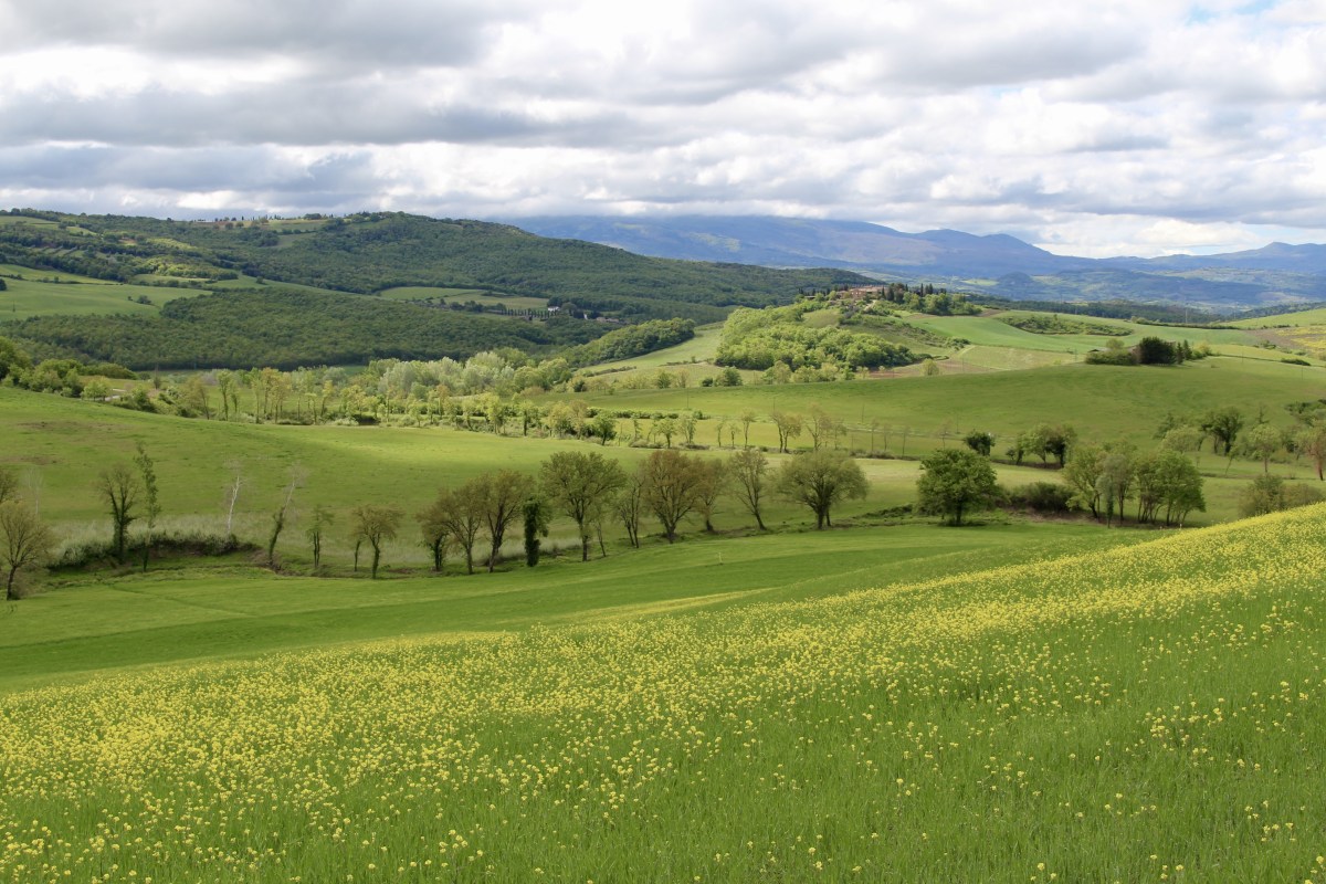 fullsizeoutput_1e4df