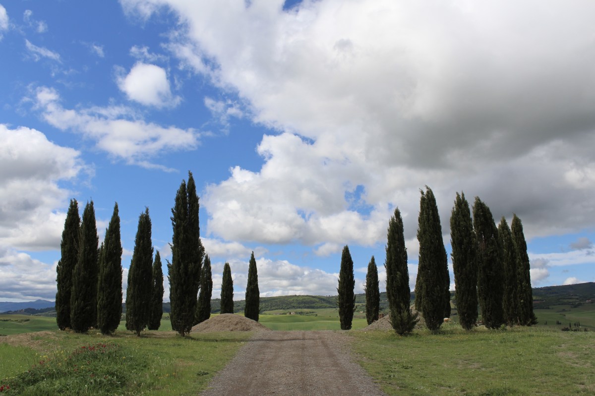 fullsizeoutput_1e4e3