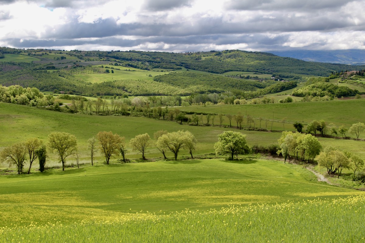 fullsizeoutput_1e4e4