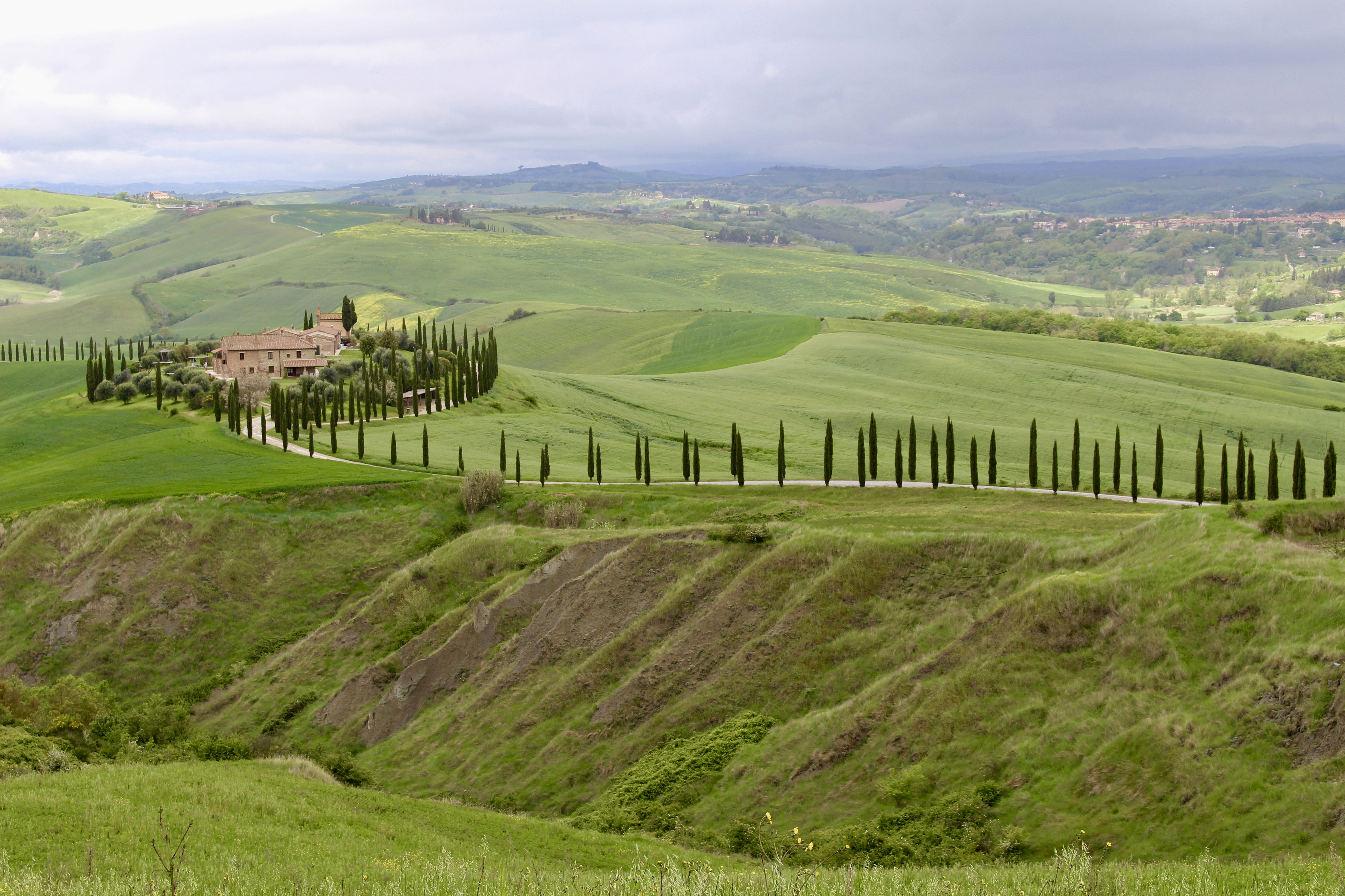 fullsizeoutput_1e551