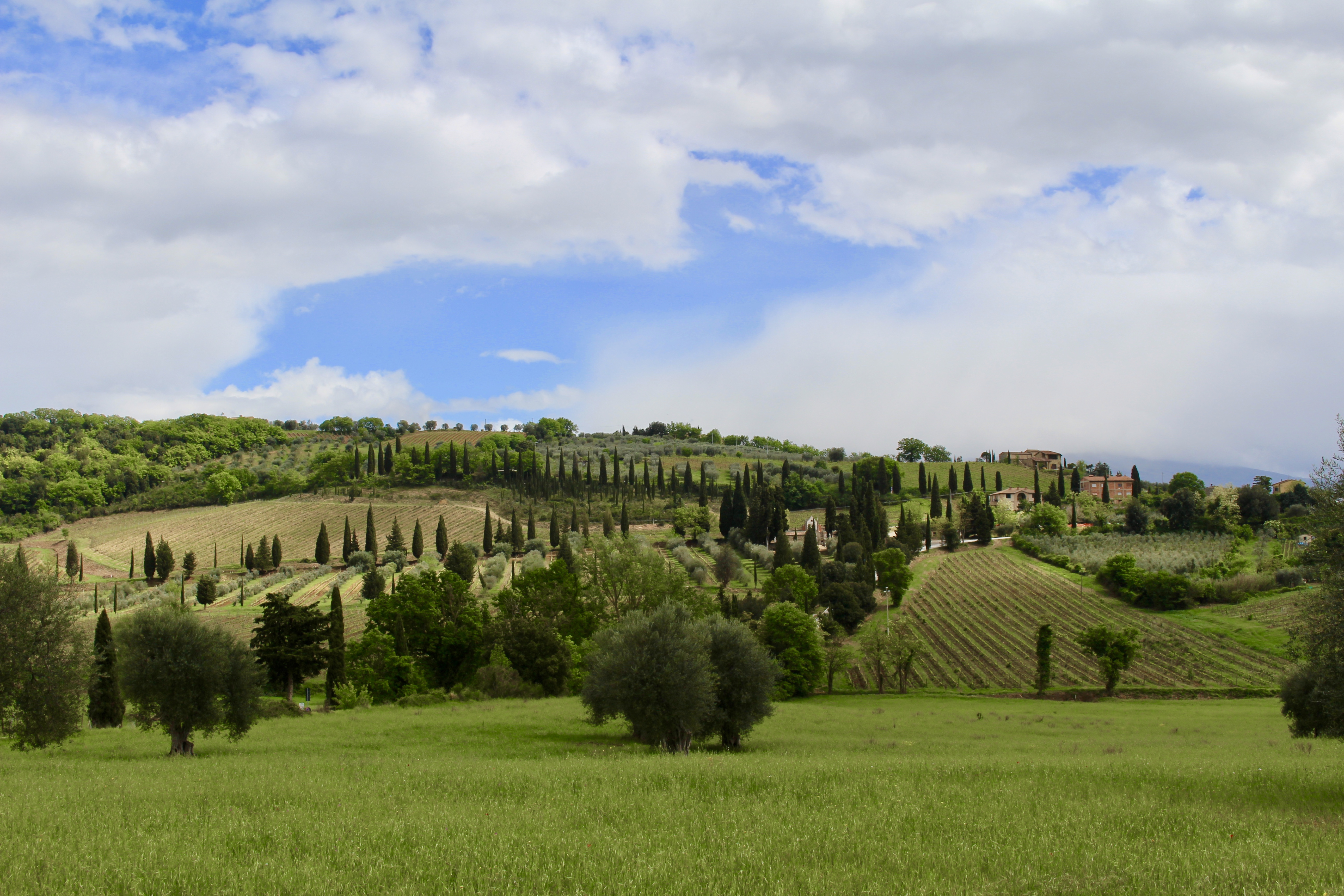 fullsizeoutput_1e67a