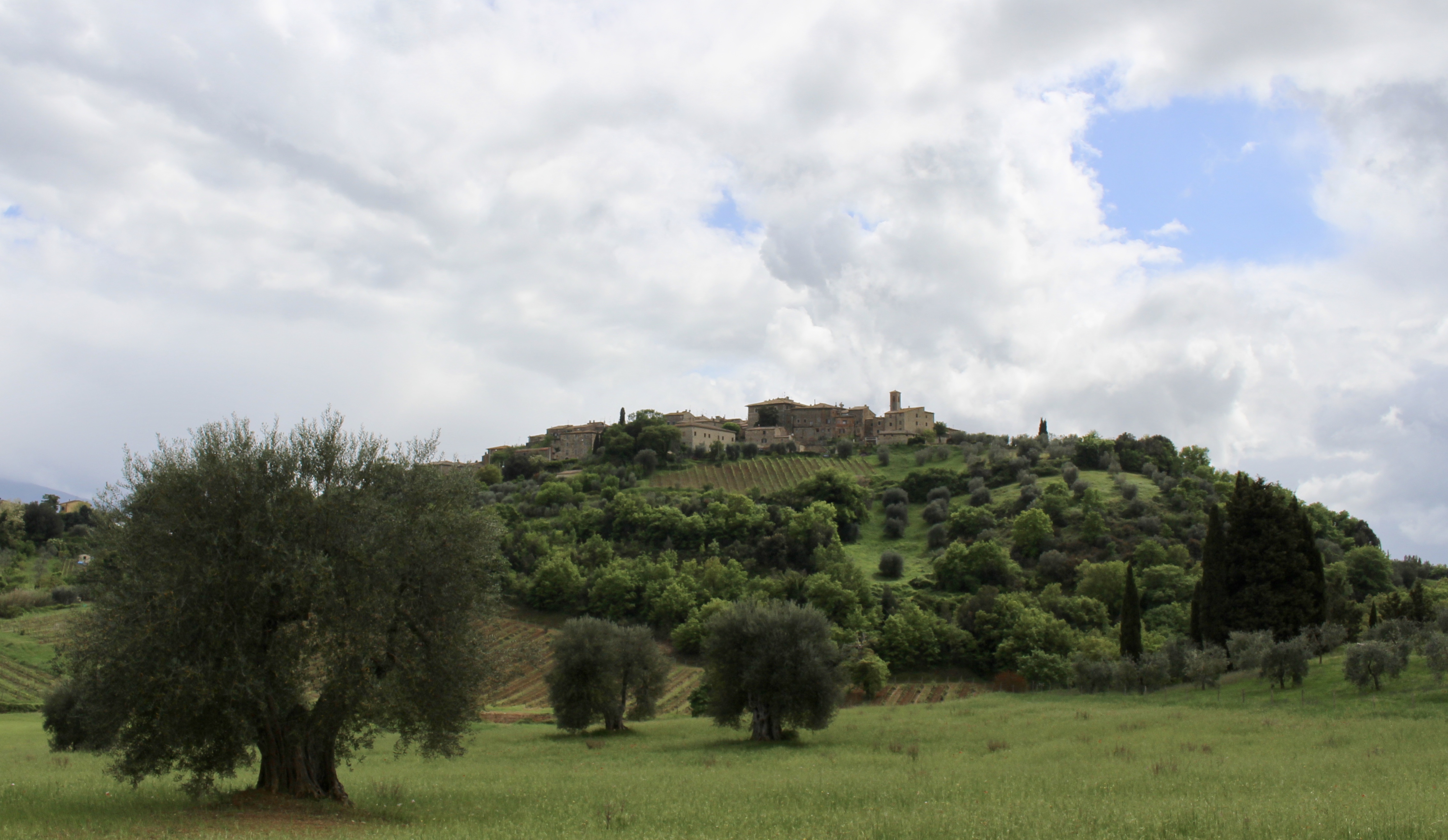 fullsizeoutput_1e67b