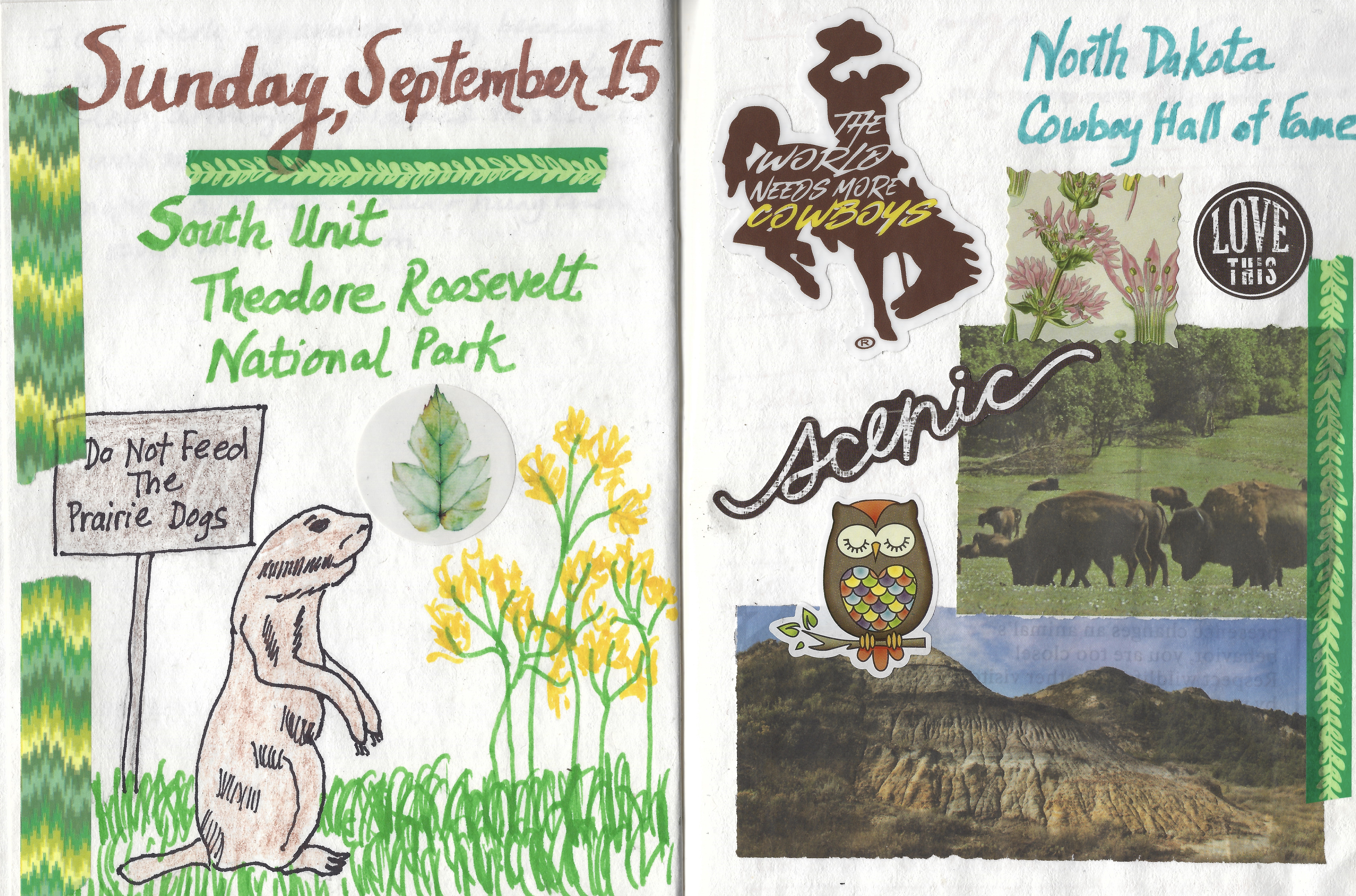 fullsizeoutput_1e78f