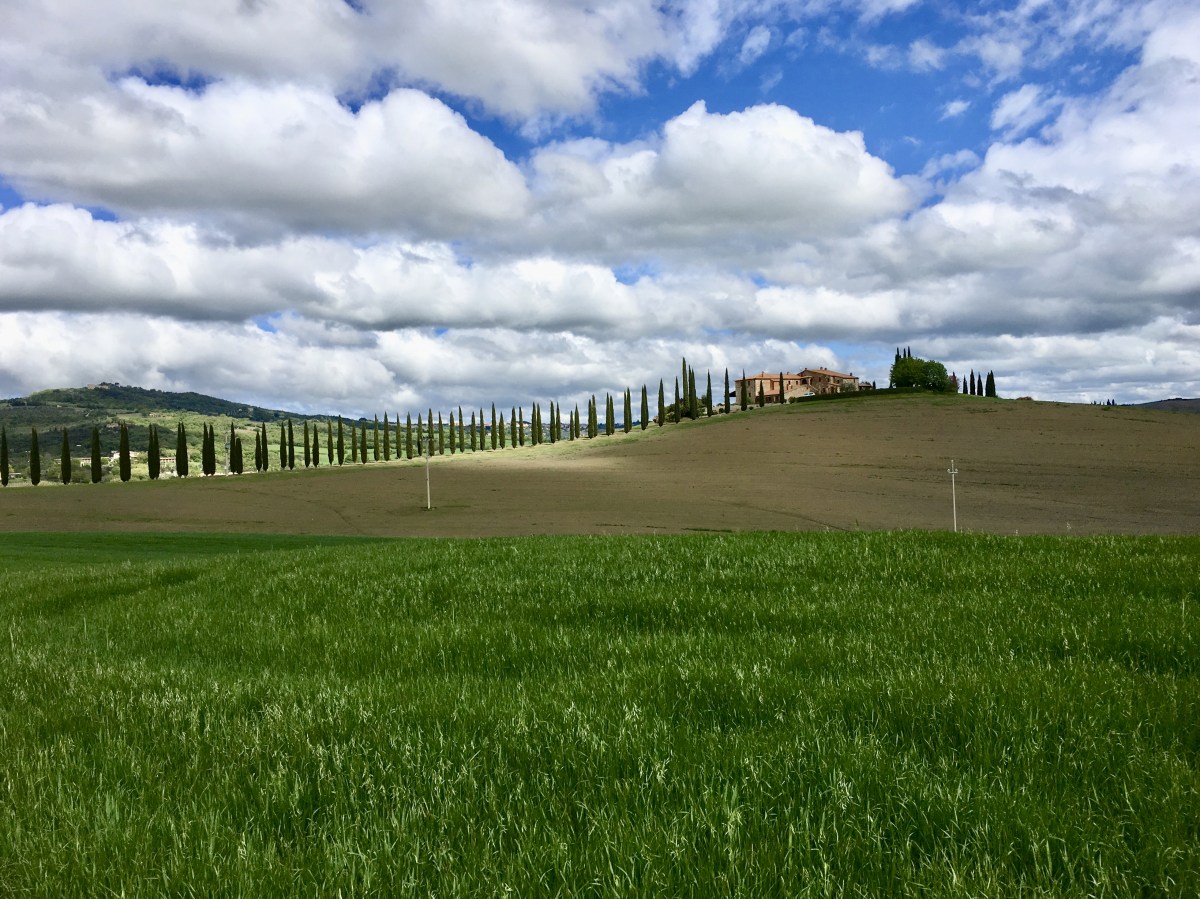 fullsizeoutput_1e7ed