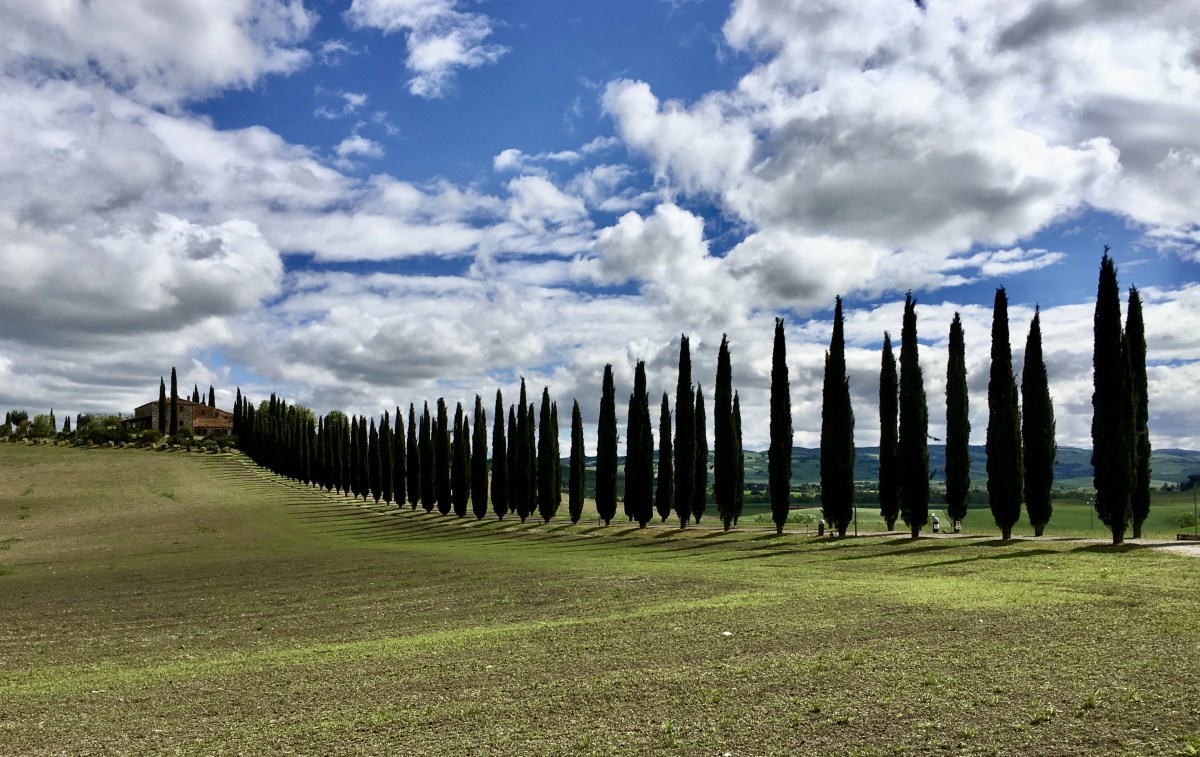 fullsizeoutput_1e7ef