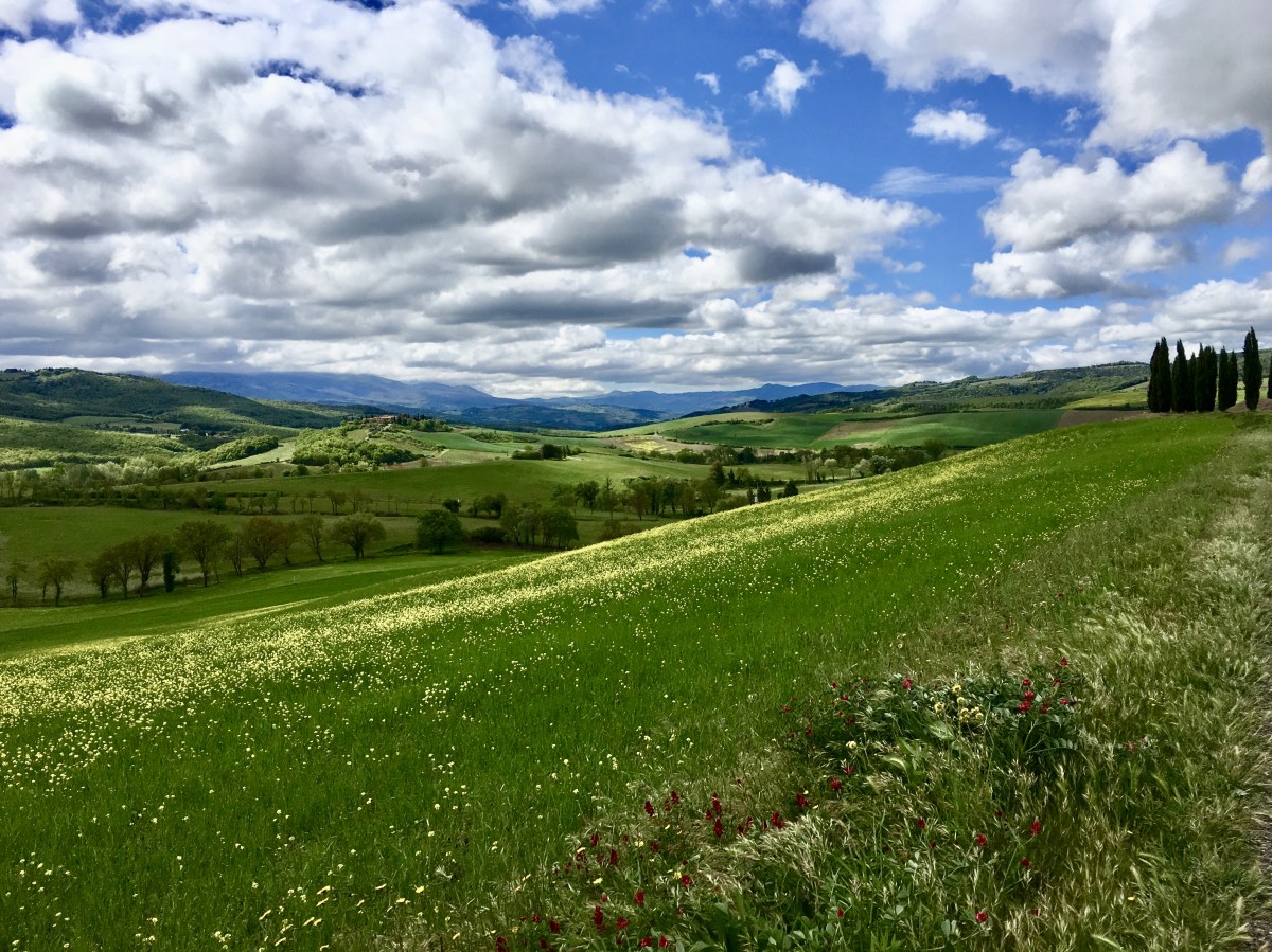 fullsizeoutput_1e7f3