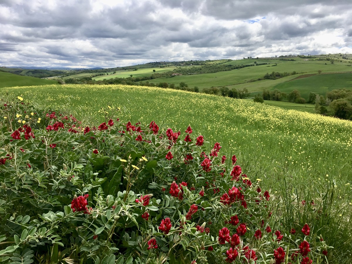 fullsizeoutput_1e7f5