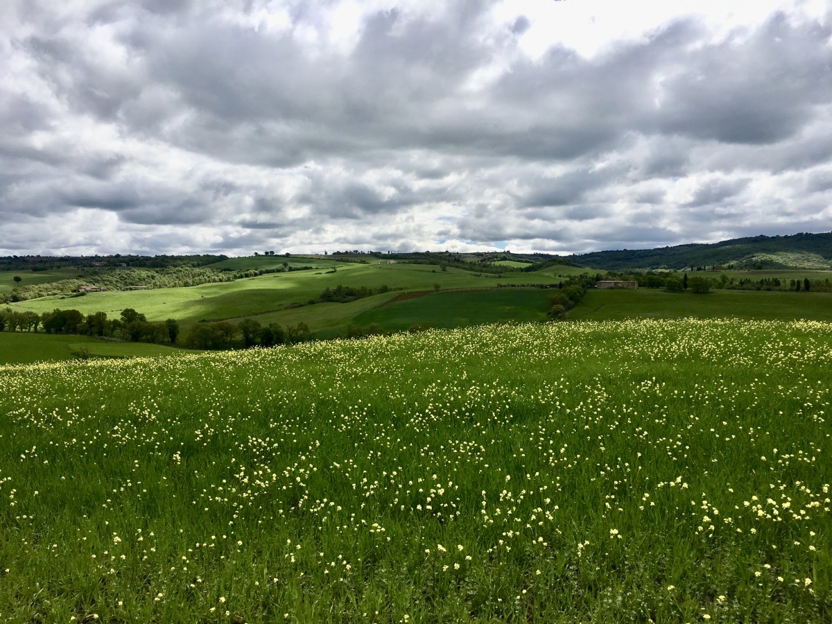 fullsizeoutput_1e7f7