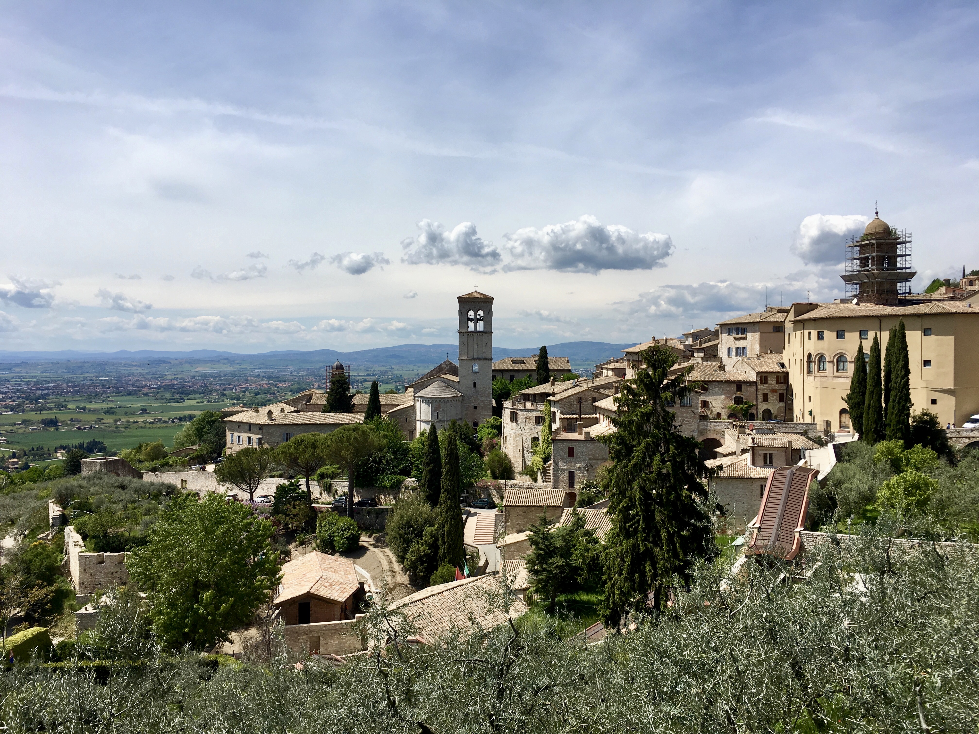 fullsizeoutput_1ea04