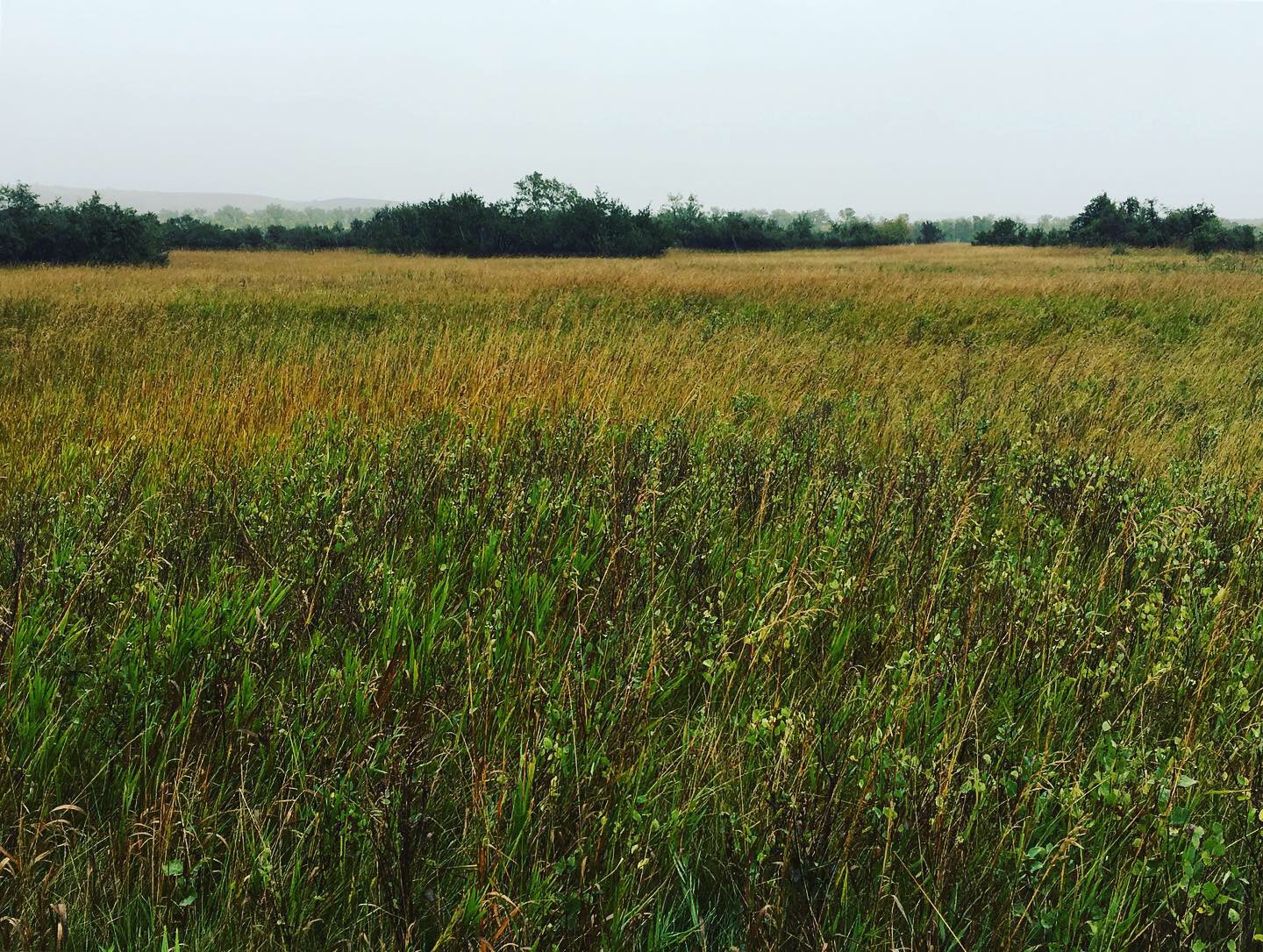 854F0A44-C240-43CC-8C71-95D0BBD23A69