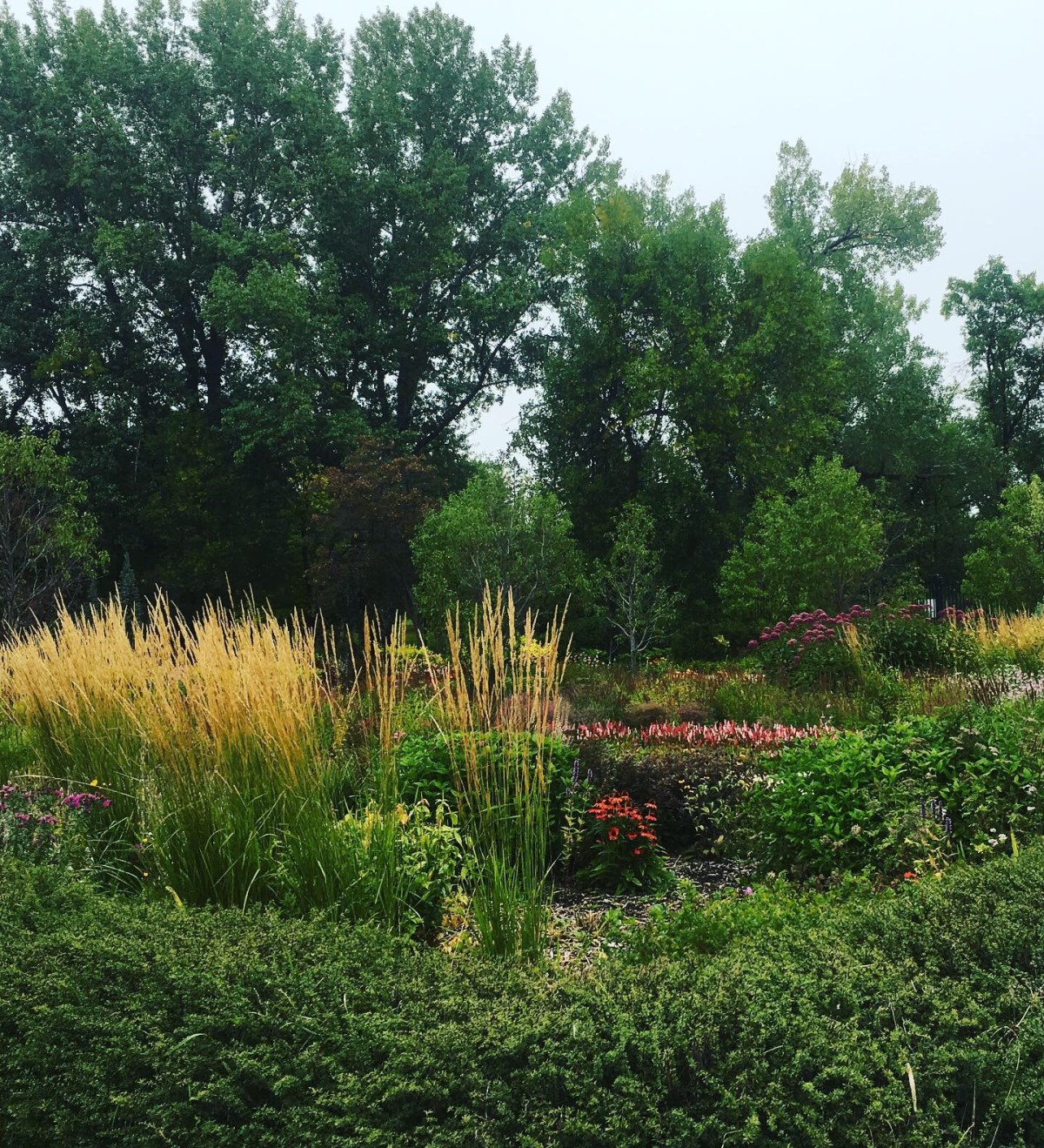 8AB57B94-5C74-4C79-A20E-E11563F8FBD6