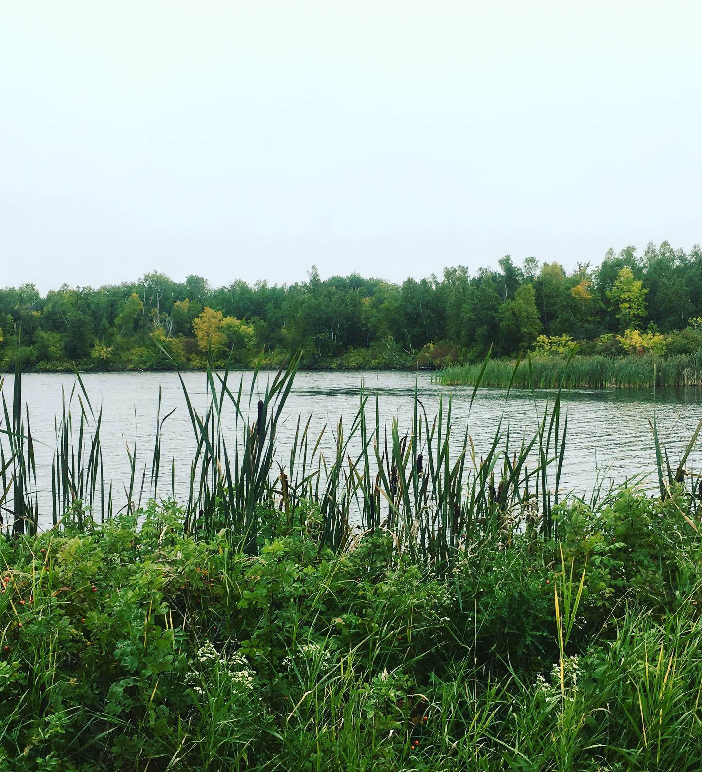 9A07170A-469C-4112-BF24-01B7F2EA107C