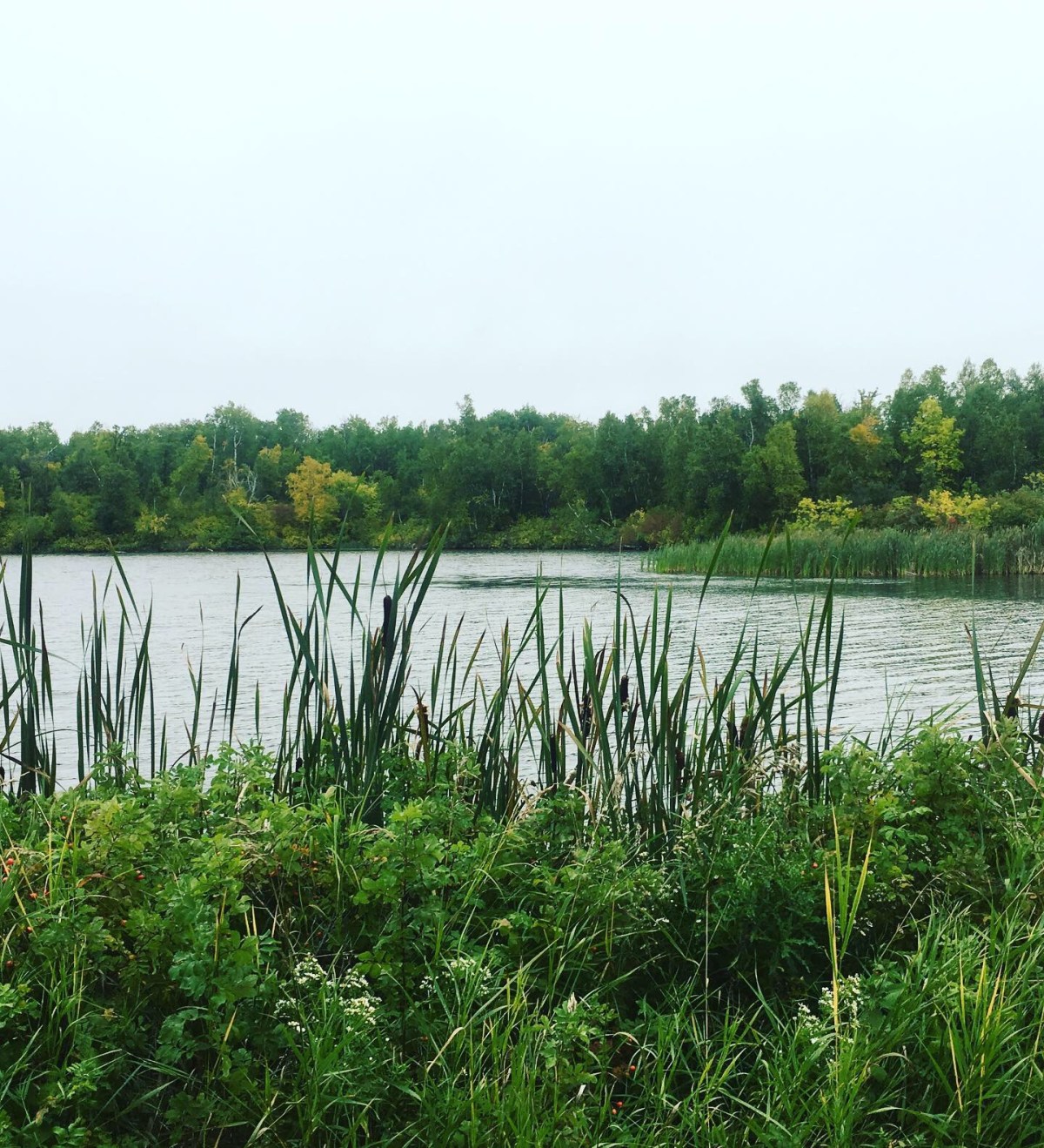 9A07170A-469C-4112-BF24-01B7F2EA107C