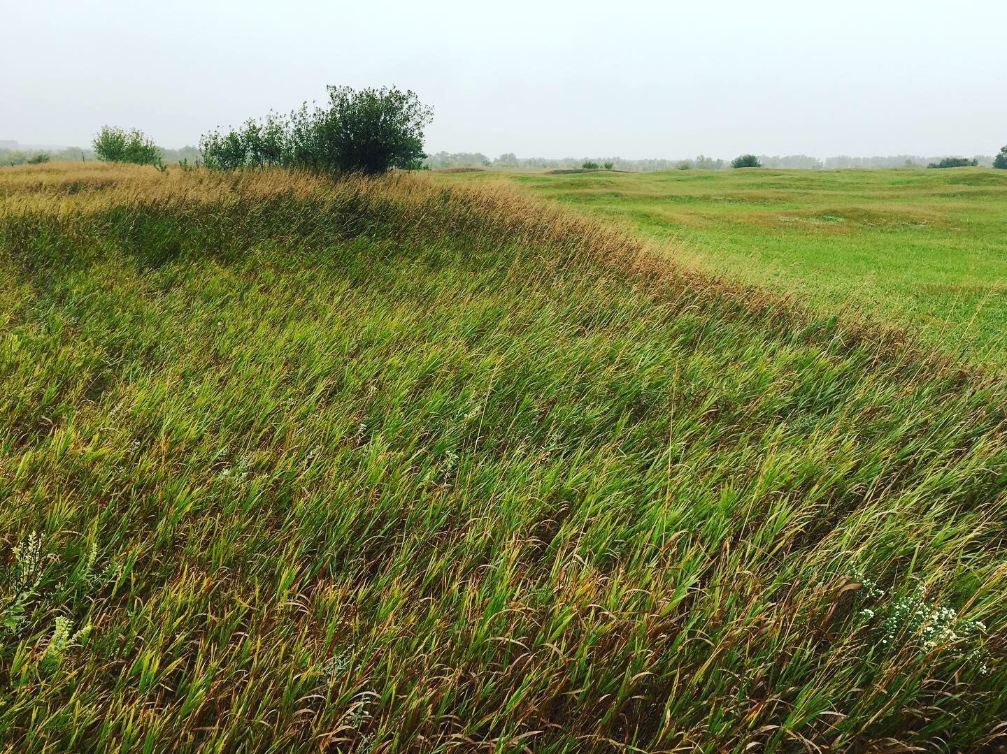 E4749DDD-3DA1-4F75-B081-0276B84C86DF