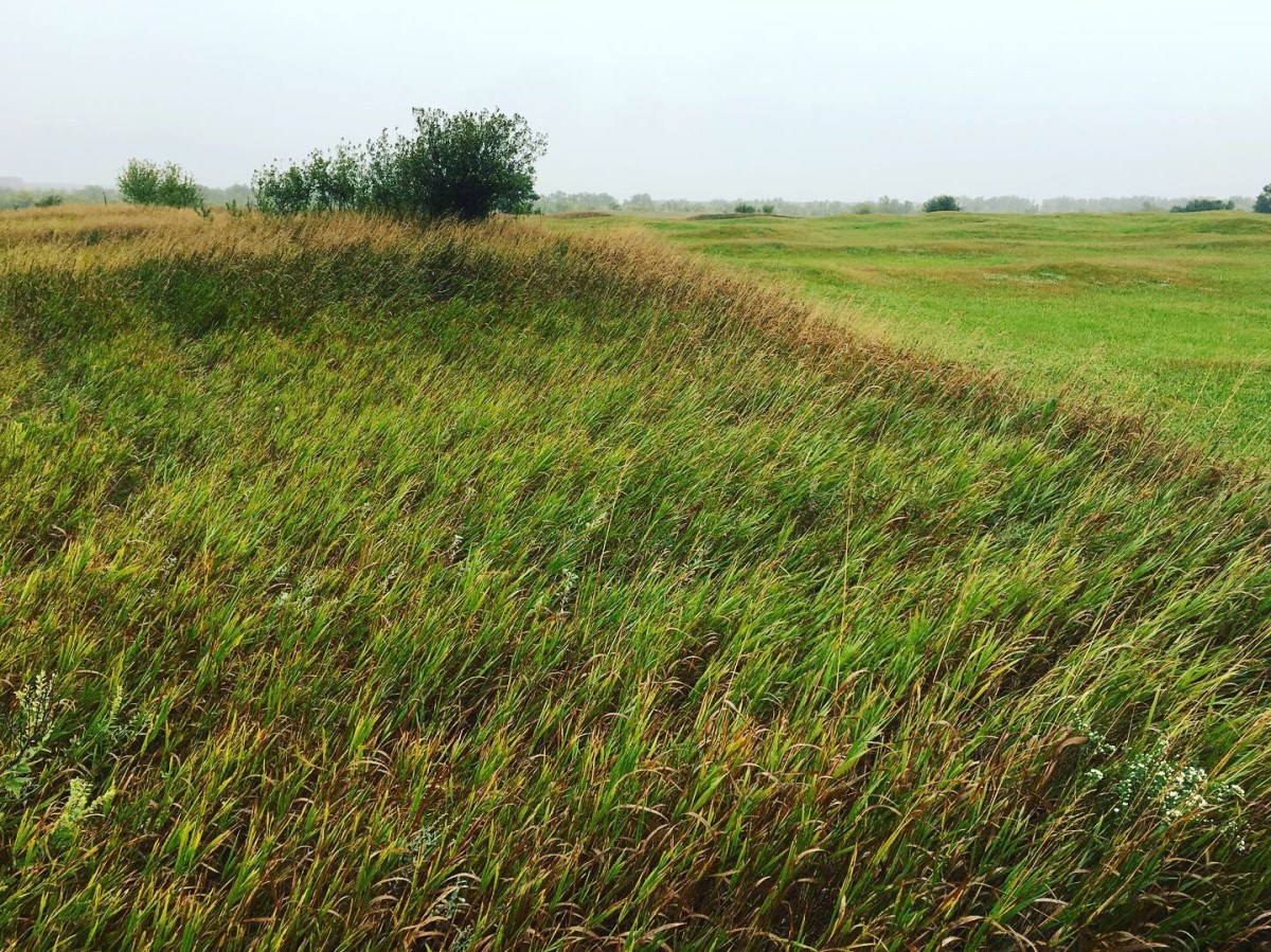 E4749DDD-3DA1-4F75-B081-0276B84C86DF